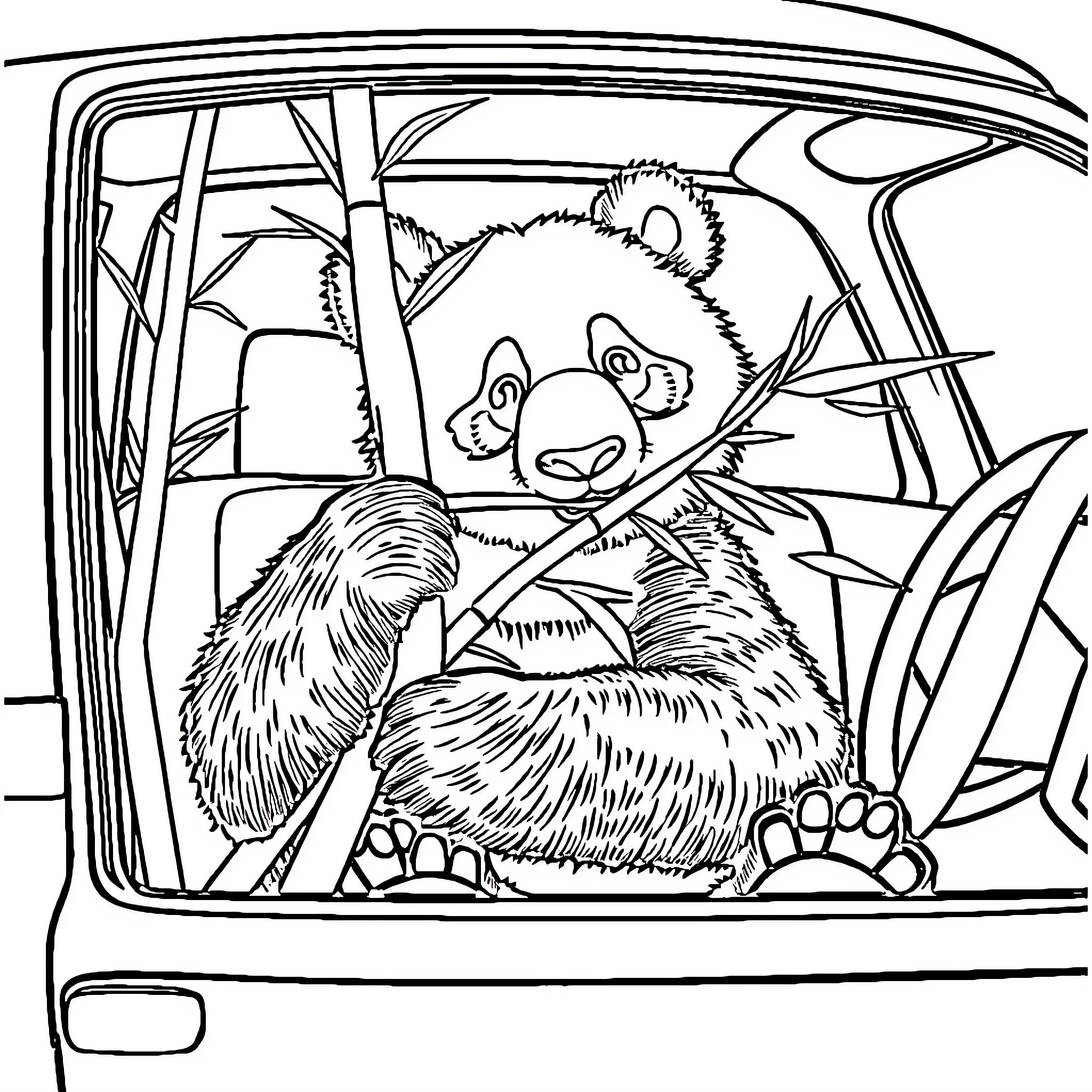 Panda enjoying a ride in the car Coloring Page (free black-and-white line drawing printable PDF for all, from beginners to advanced learners, including children, teens, adults, and seniors)