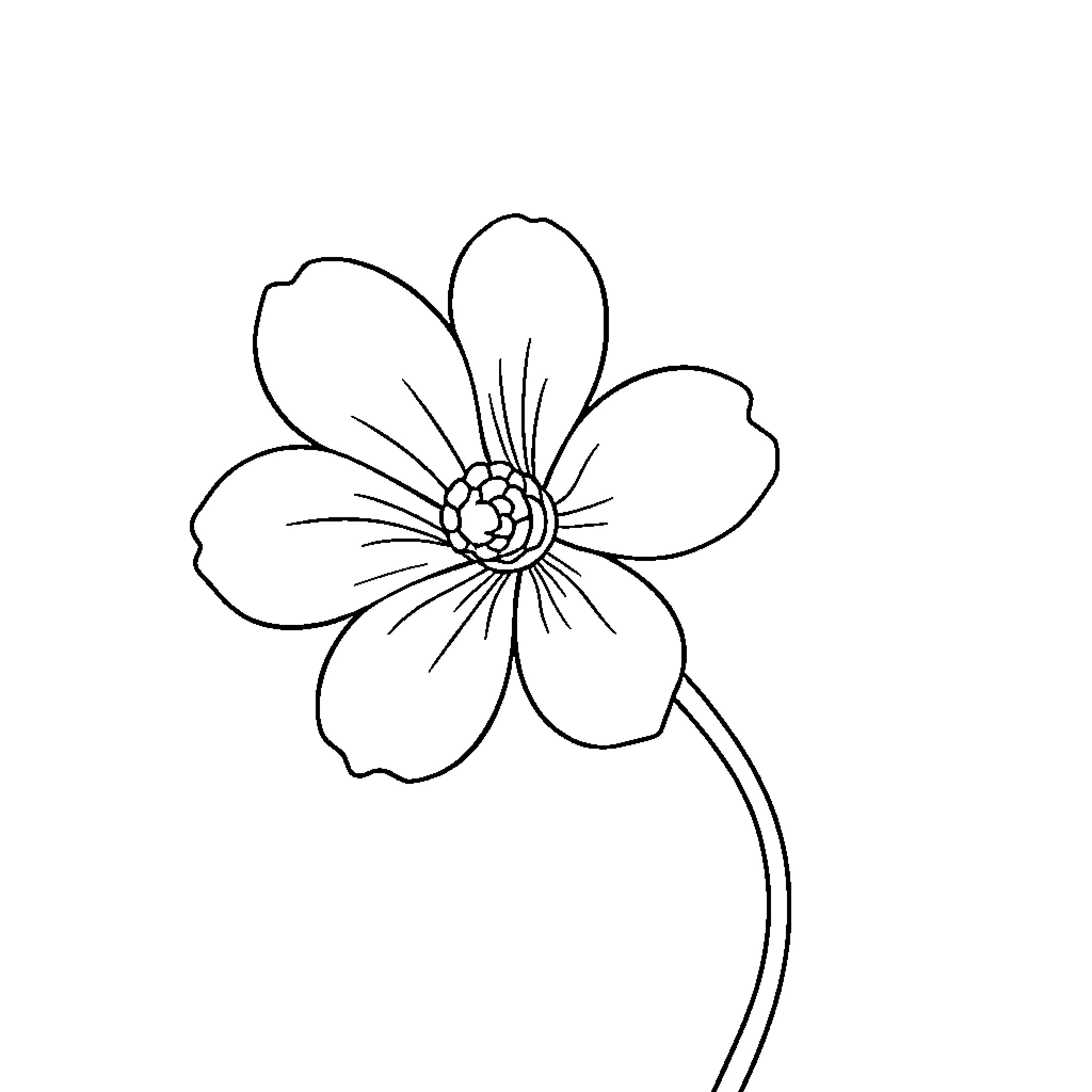 Flower with Simple Petals and Center Coloring Page (free black-and-white line drawing printable PDF for all, from beginners to advanced learners, including children, teens, adults, and seniors)