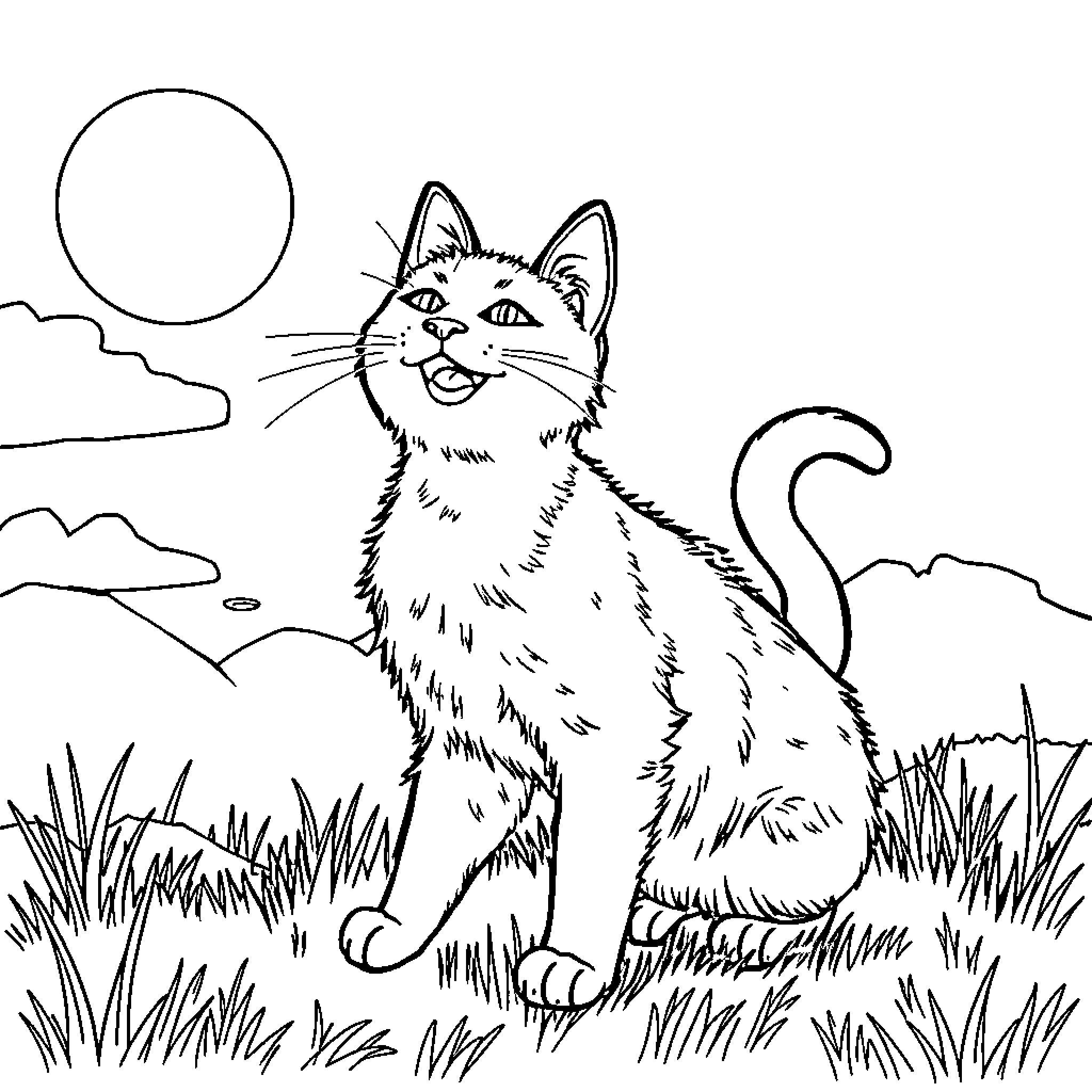 Cat sitting in grassy field under the sun Coloring Page (free black-and-white line drawing printable PDF for all, from beginners to advanced learners, including children, teens, adults, and seniors)