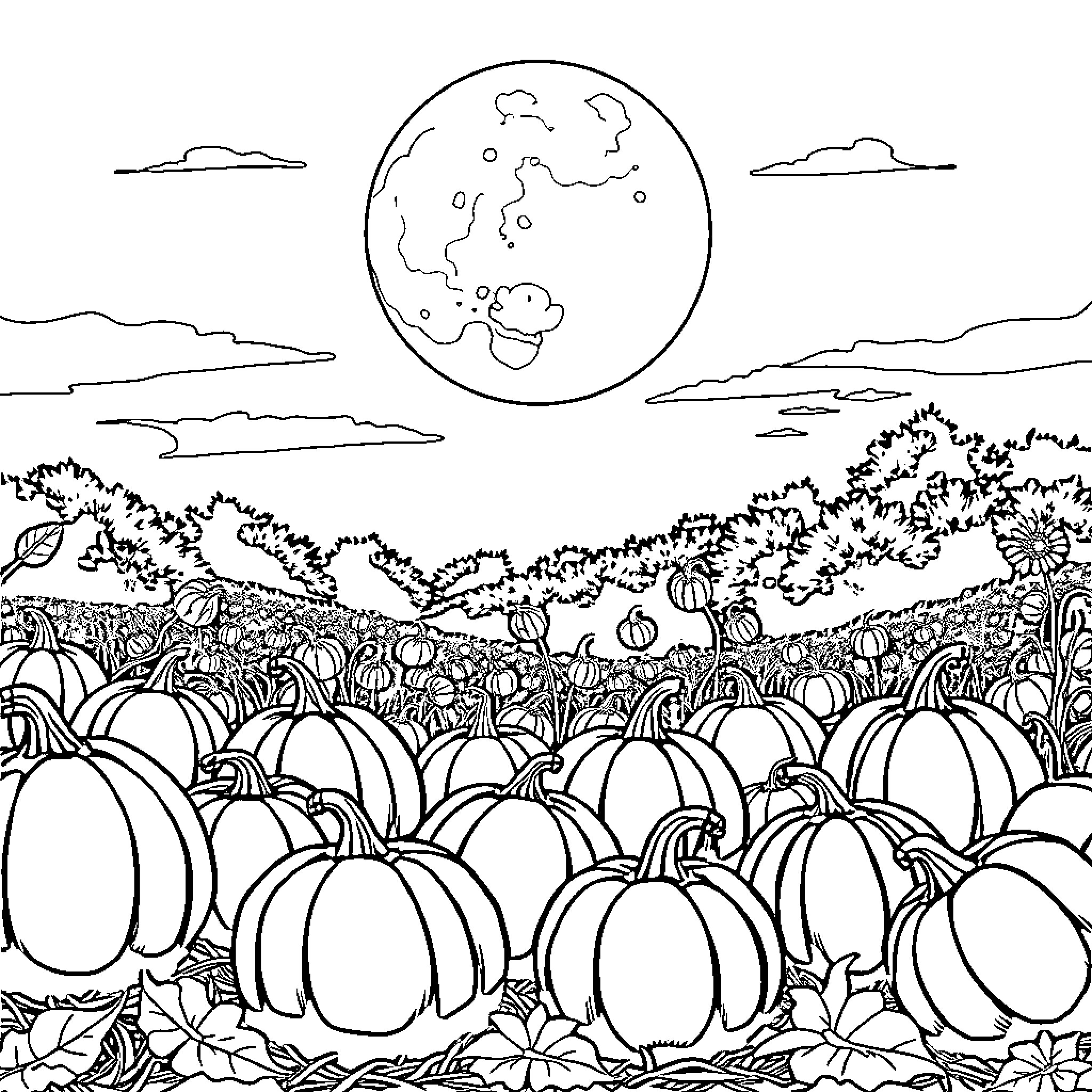 Pumpkin patch under the harvest moon Coloring Page (free black-and-white line drawing printable PDF for all, from beginners to advanced learners, including children, teens, adults, and seniors)