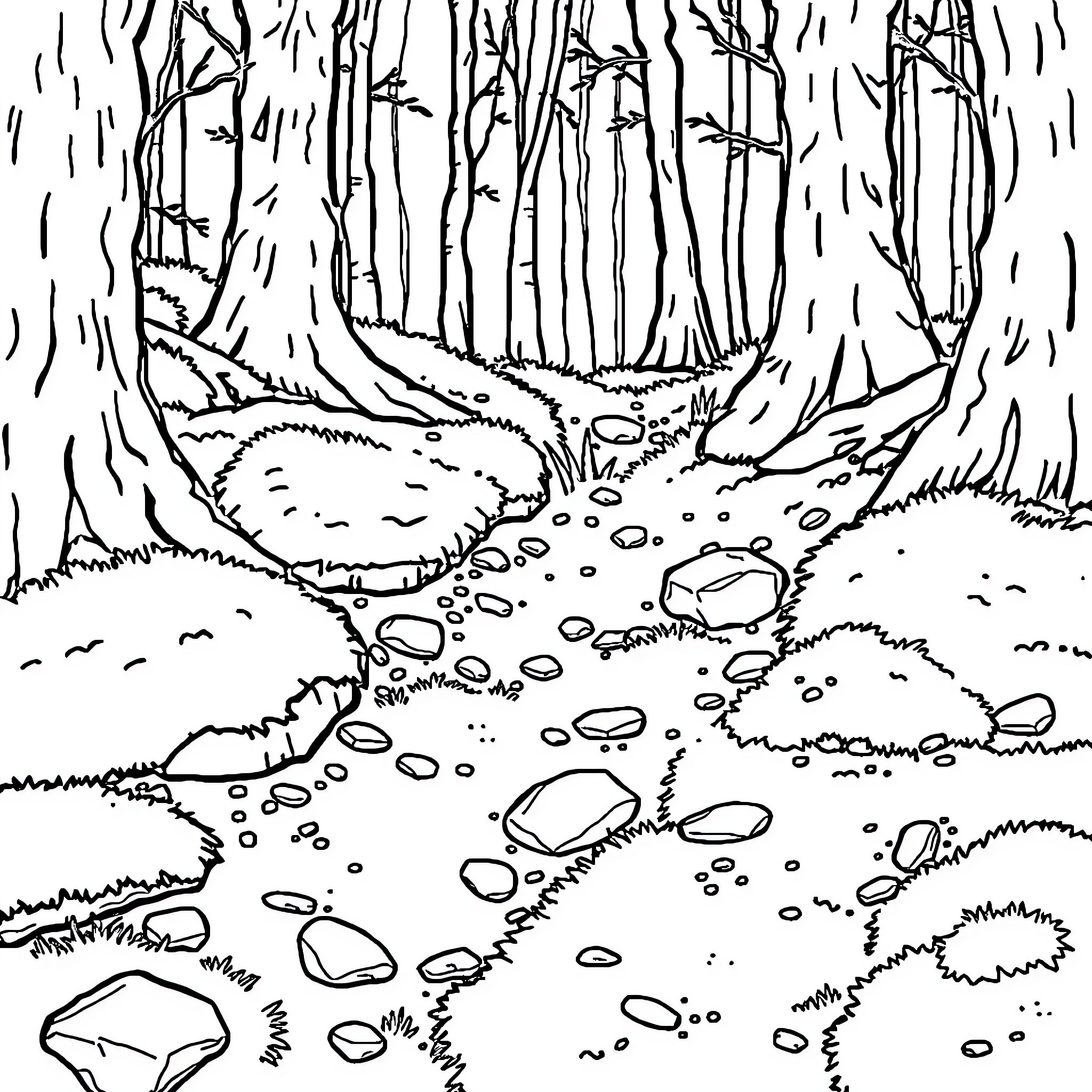 Forest Floor Filled with Stones and Foliage Coloring Page (free black-and-white line drawing printable PDF for all, from beginners to advanced learners, including children, teens, adults, and seniors)