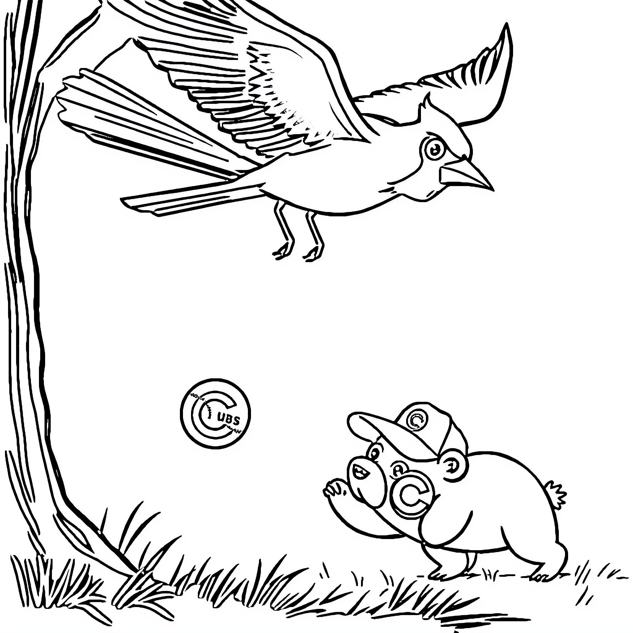 St. Louis Cardinal bird in flight observing squirrel Coloring Page (free black-and-white line drawing printable PDF for all, from beginners to advanced learners, including children, teens, adults, and seniors)