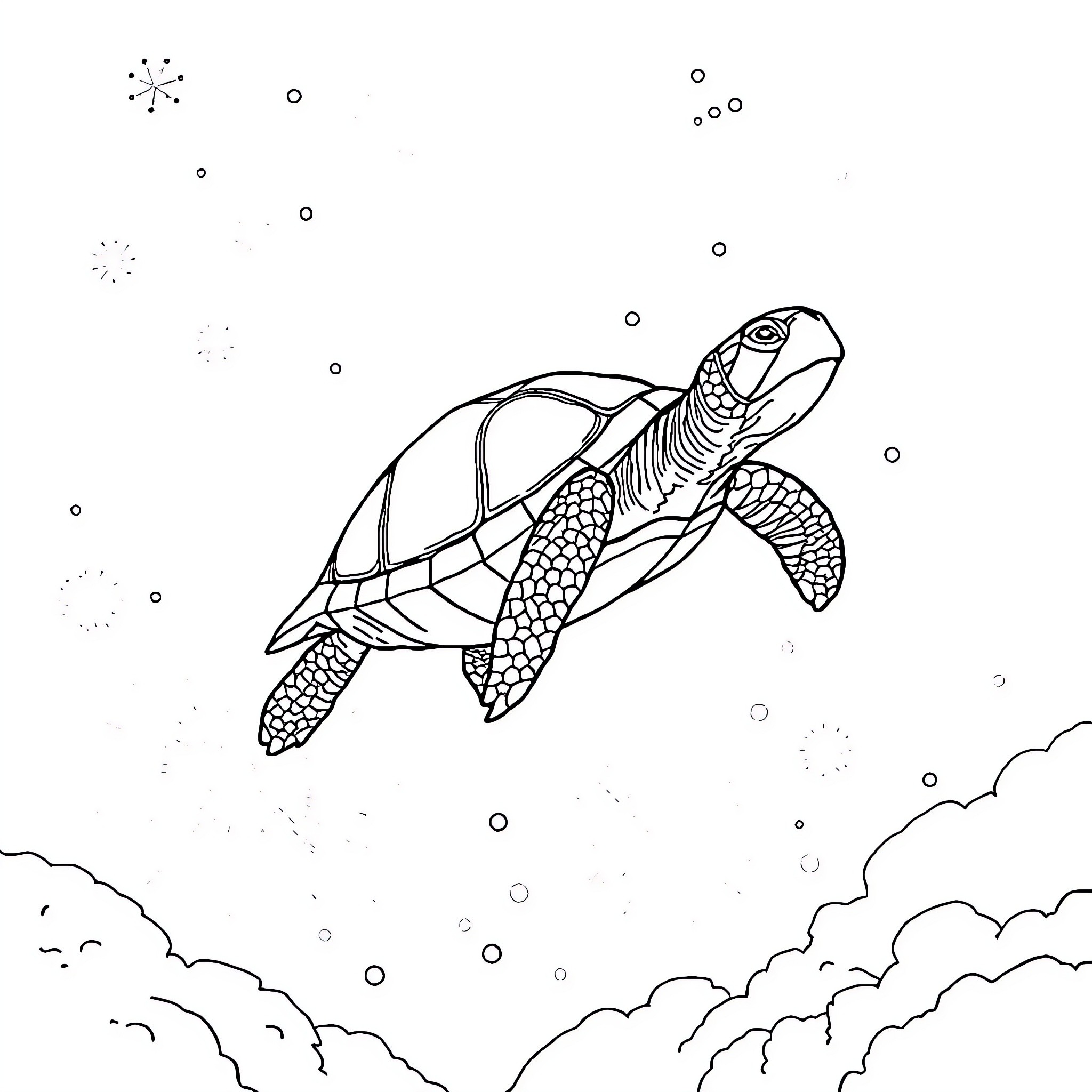 Turtle swimming gracefully through the starry sky Coloring Page (free black-and-white line drawing printable PDF for all, from beginners to advanced learners, including children, teens, adults, and seniors)