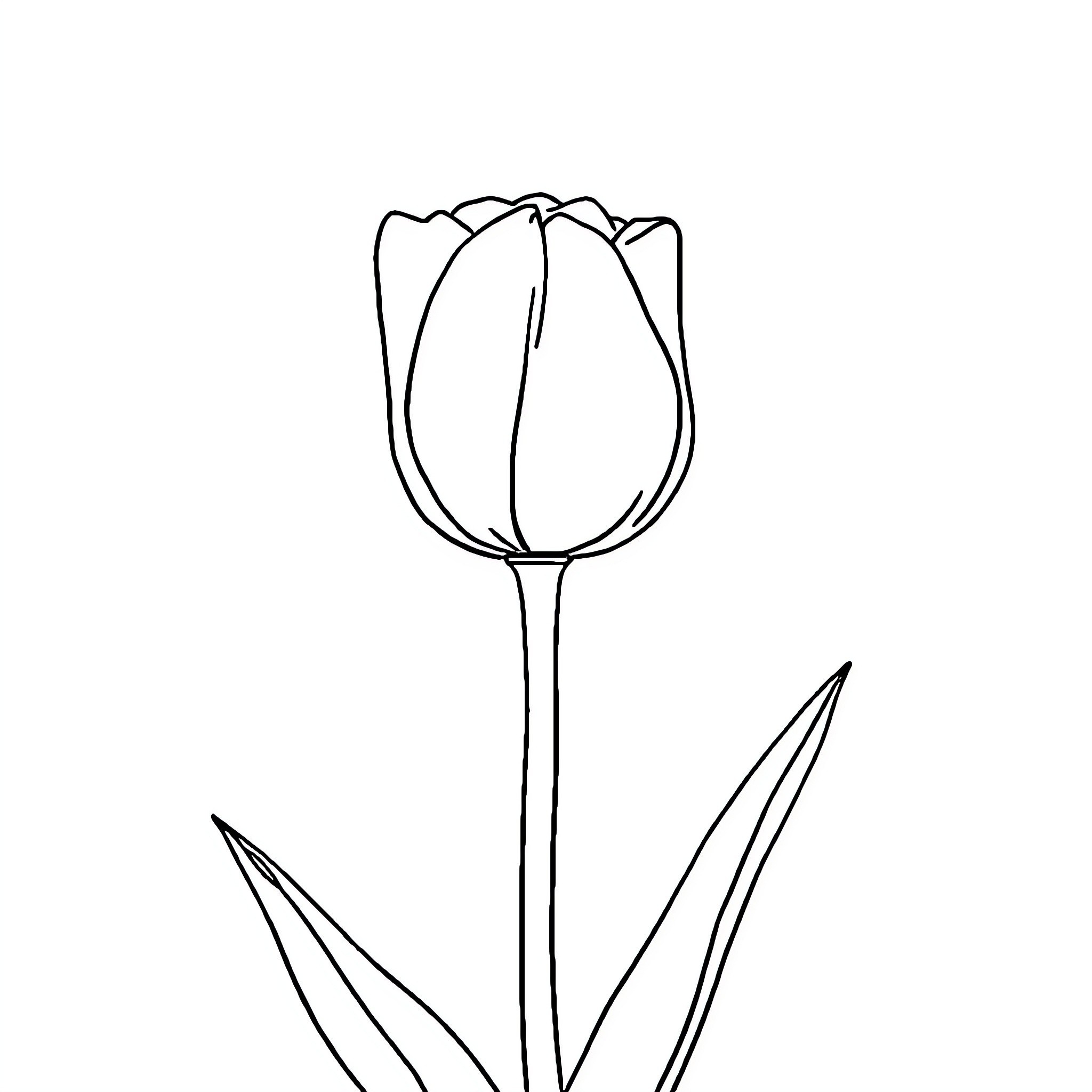 Tulip flower in simple outline Coloring Page (free black-and-white line drawing printable PDF for all, from beginners to advanced learners, including children, teens, adults, and seniors)