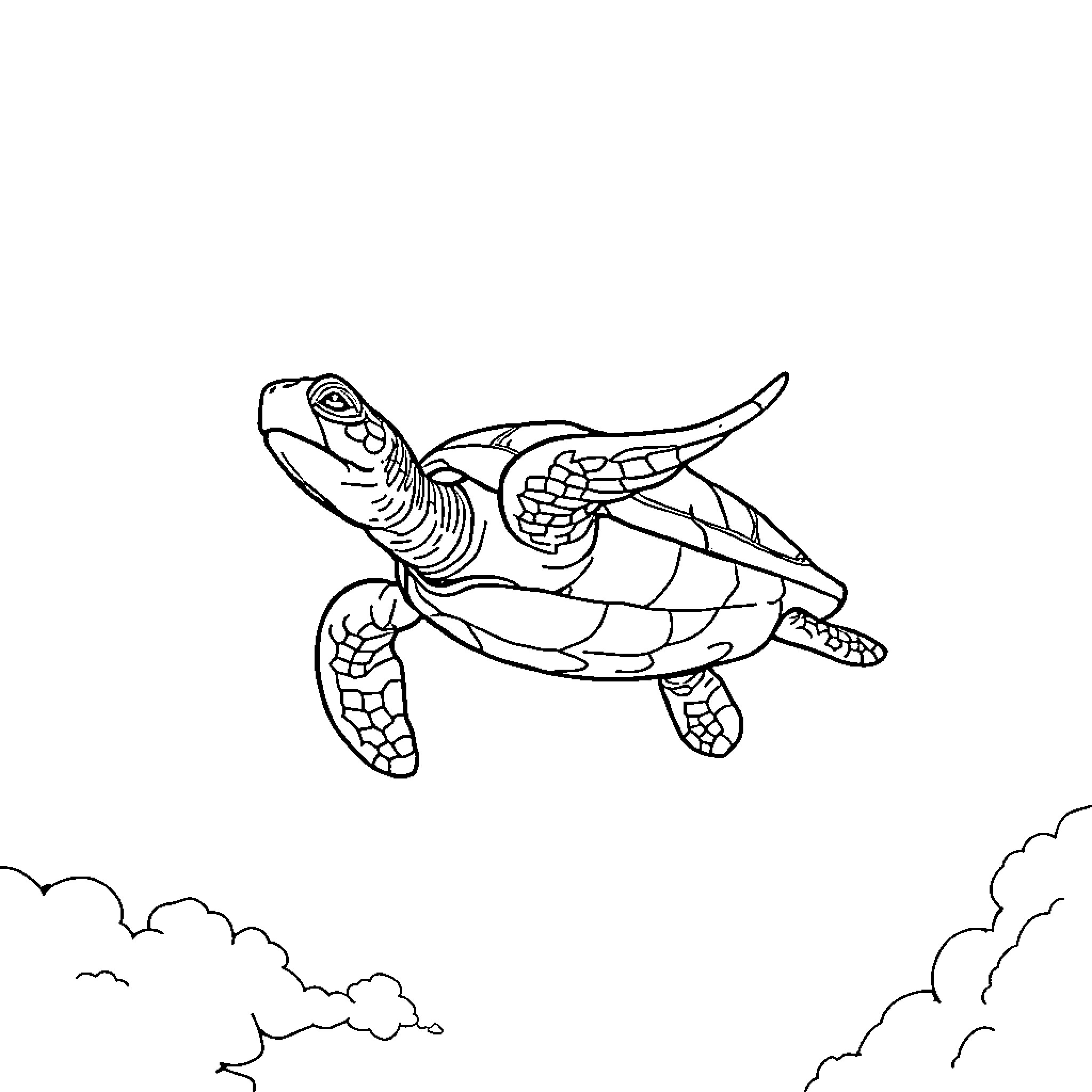 Turtle swimming through the clouds Coloring Page (free black-and-white line drawing printable PDF for all, from beginners to advanced learners, including children, teens, adults, and seniors)
