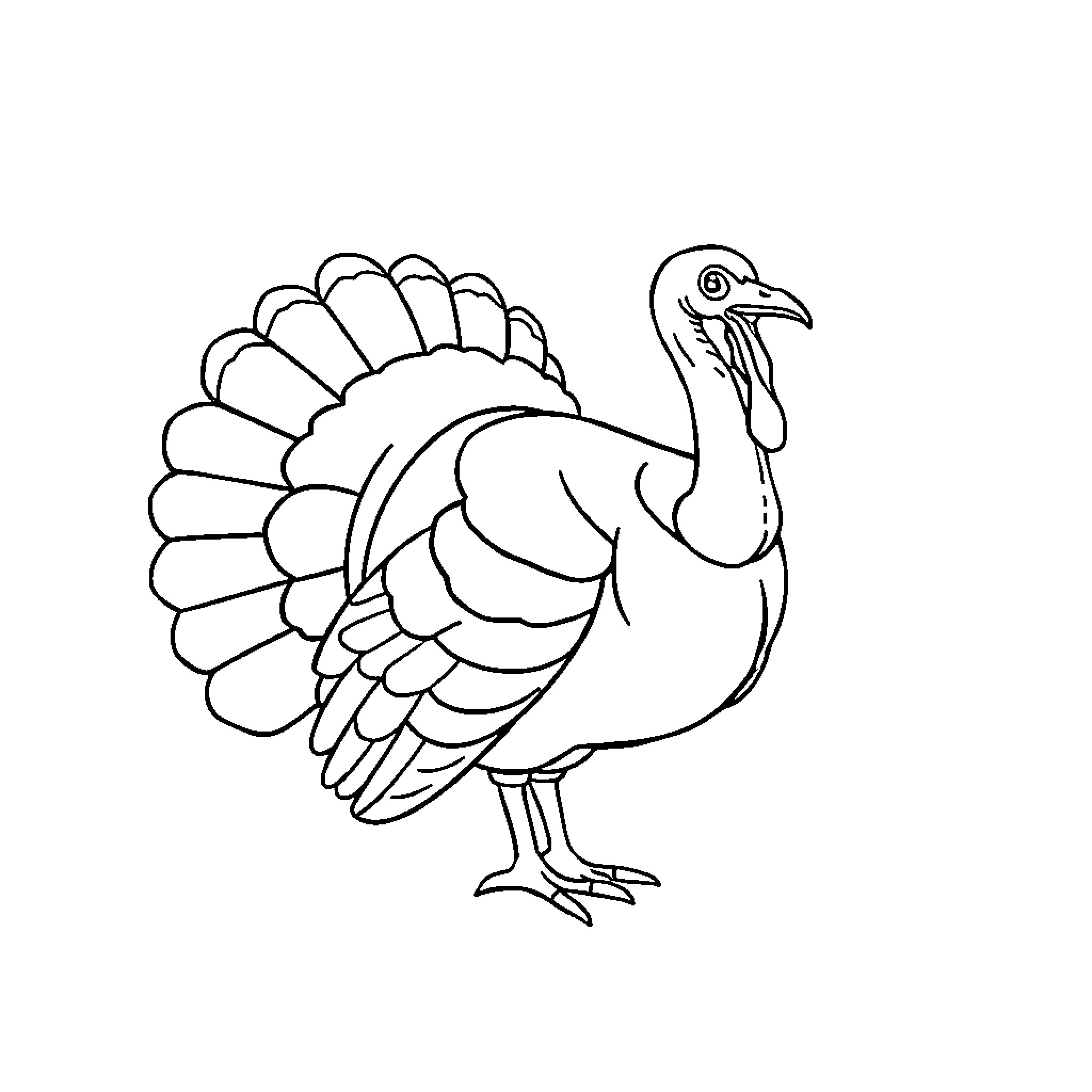 Turkey displaying feathers in a field Coloring Page (free black-and-white line drawing printable PDF for all, from beginners to advanced learners, including children, teens, adults, and seniors)