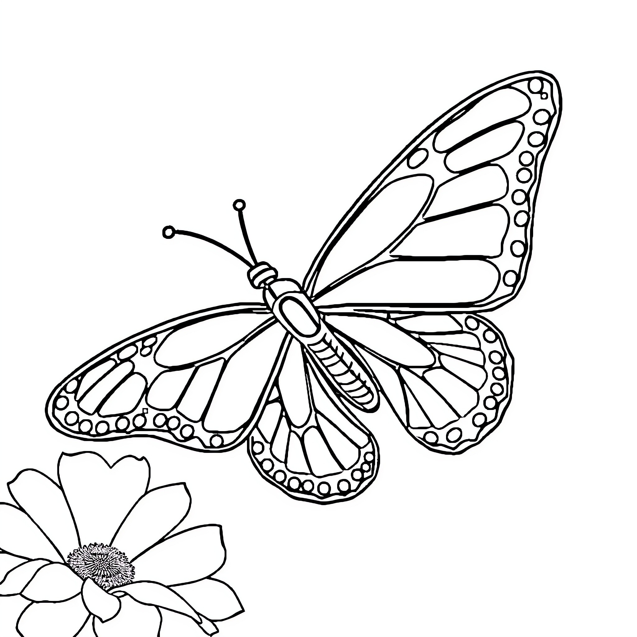 Butterfly spreading its wings near a flower Coloring Page (free black-and-white line drawing printable PDF for all, from beginners to advanced learners, including children, teens, adults, and seniors)