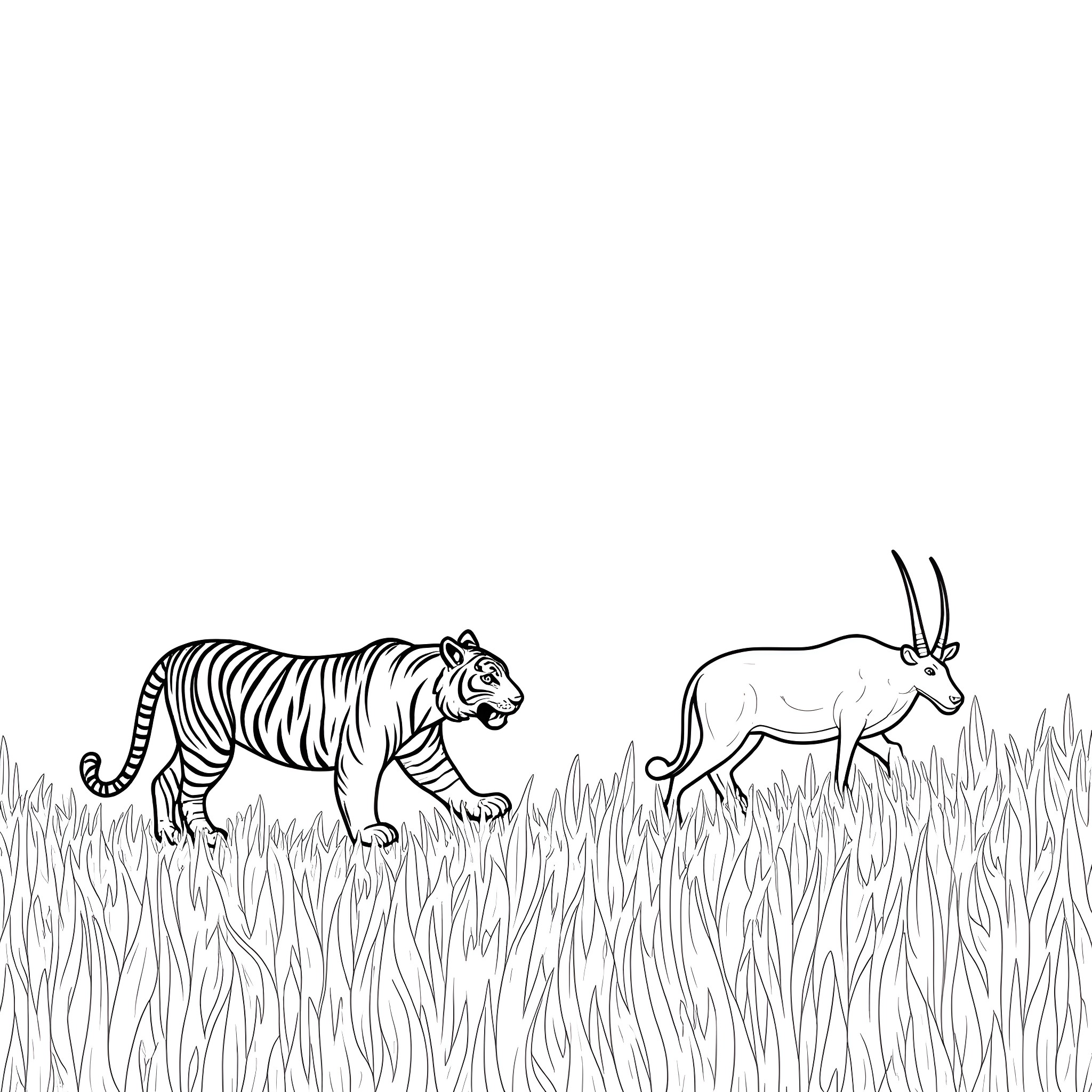 Tiger and antelope in the wild grassland Coloring Page (free black-and-white line drawing printable PDF for all, from beginners to advanced learners, including children, teens, adults, and seniors)