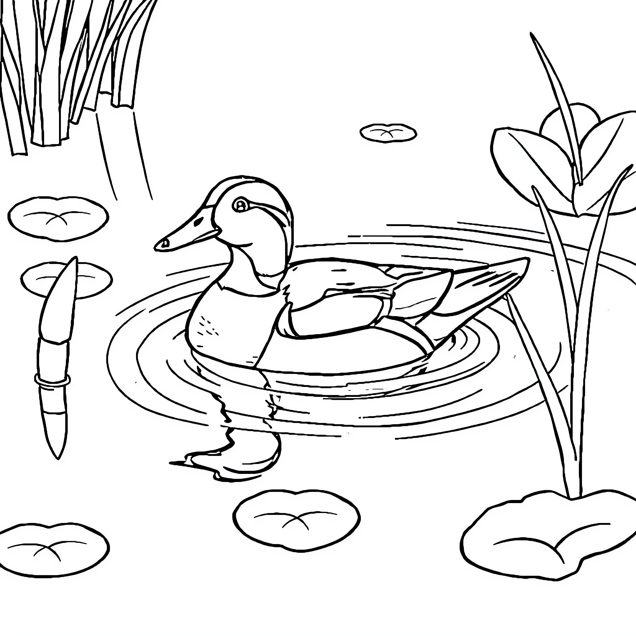 Duck swimming in a pond with plants Coloring Page (free black-and-white line drawing printable PDF for all, from beginners to advanced learners, including children, teens, adults, and seniors)