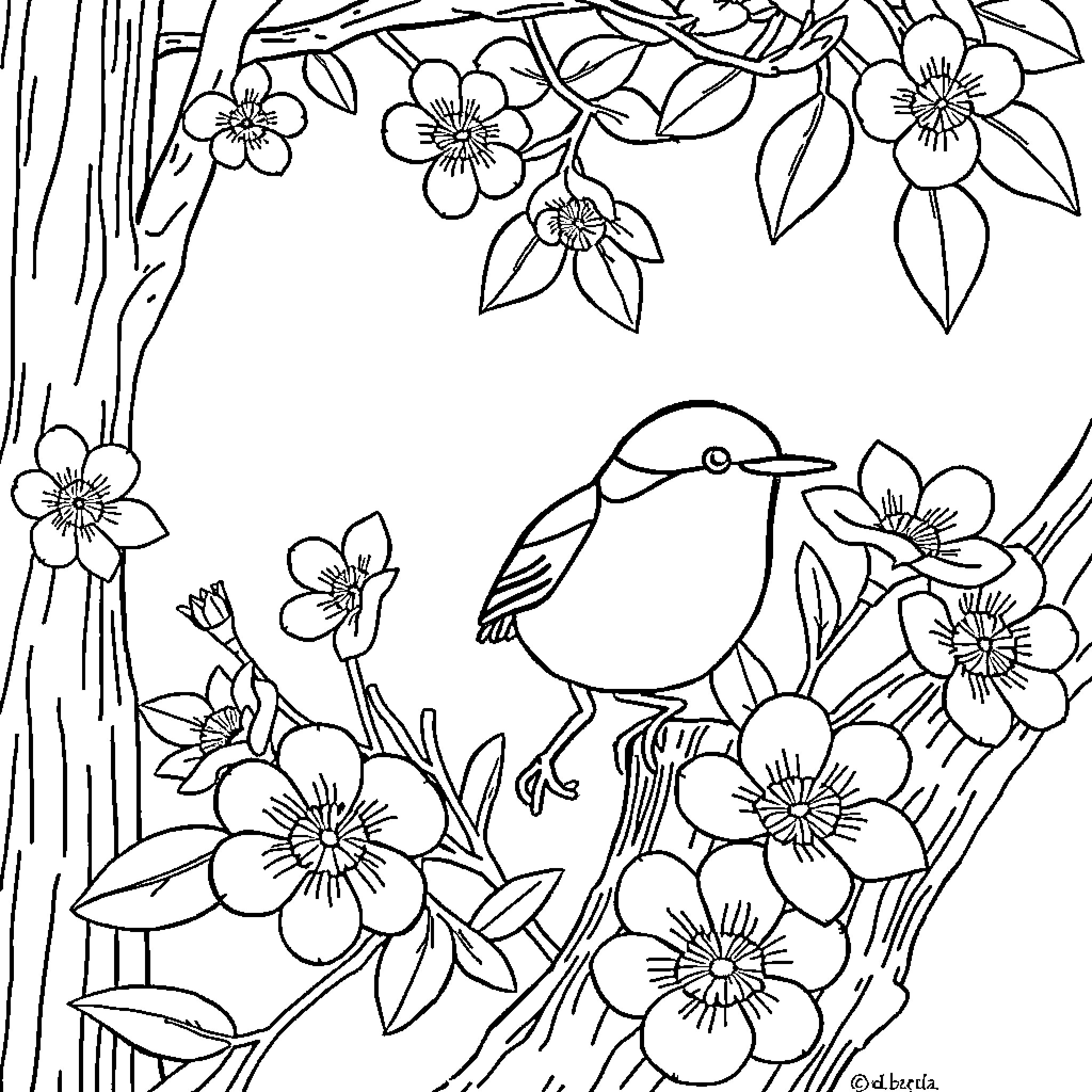 Chat with nature's beauty Coloring Page (free black-and-white line drawing printable PDF for all, from beginners to advanced learners, including children, teens, adults, and seniors)