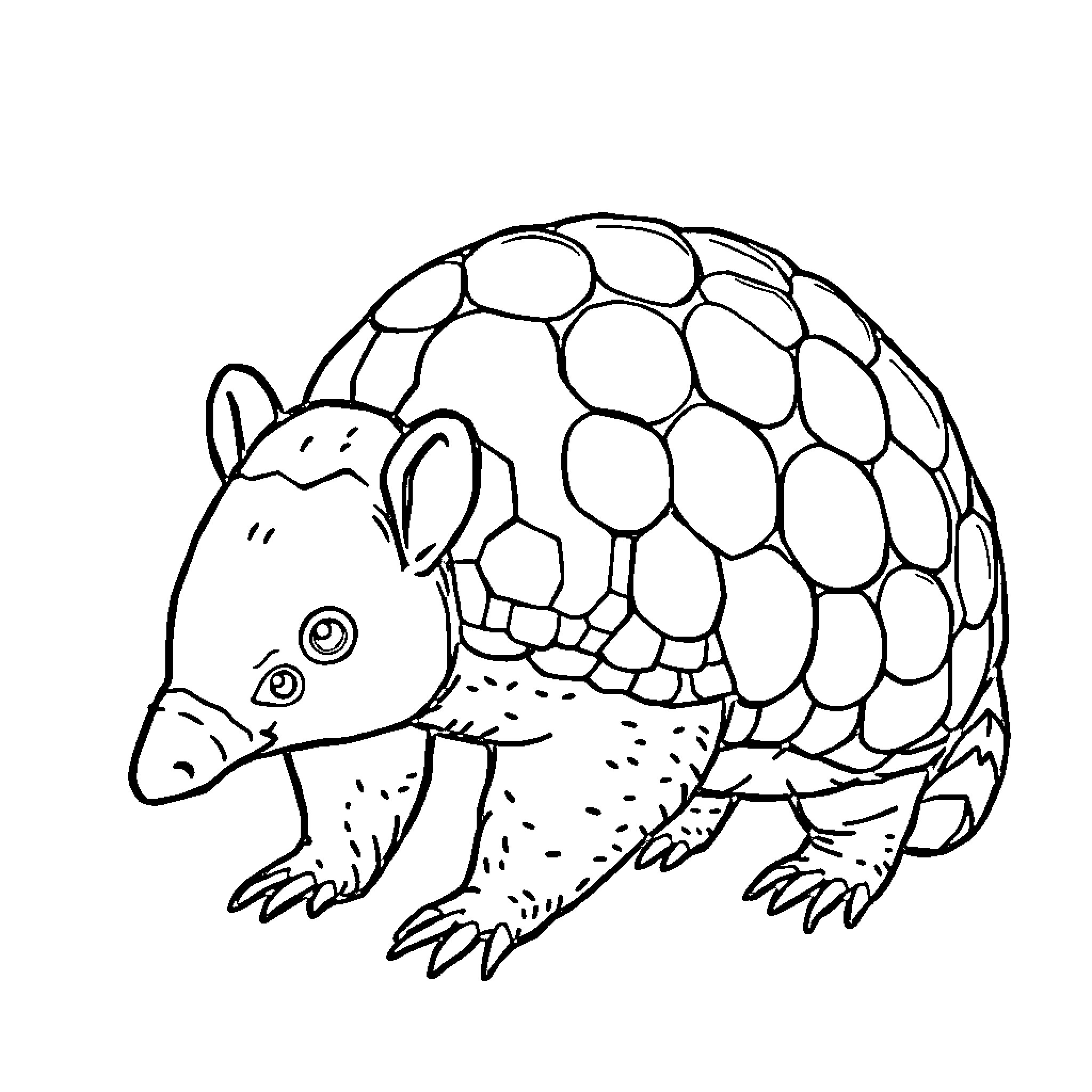 Avocado armadillo exploring the world Coloring Page (free black-and-white line drawing printable PDF for all, from beginners to advanced learners, including children, teens, adults, and seniors)