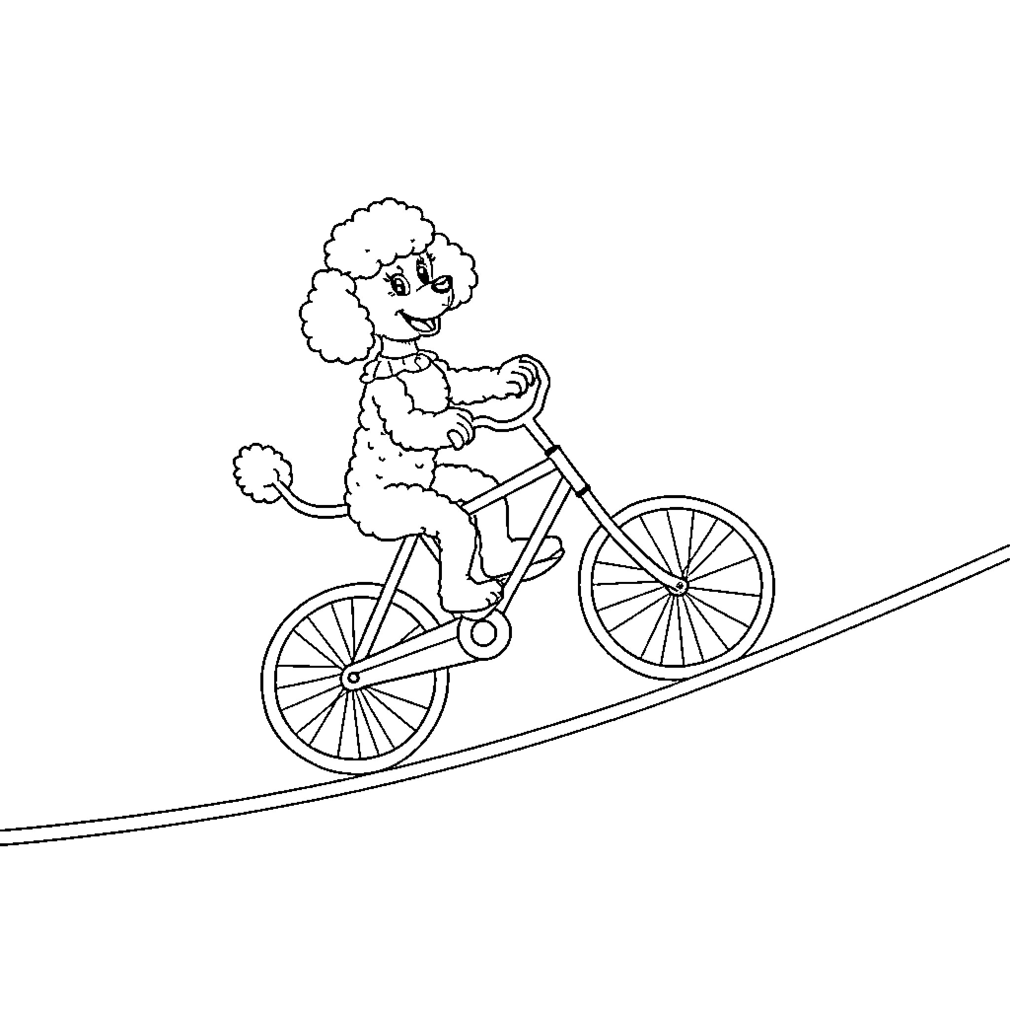 Poodle riding a bicycle on a tightrope Coloring Page (free black-and-white line drawing printable PDF for all, from beginners to advanced learners, including children, teens, adults, and seniors)