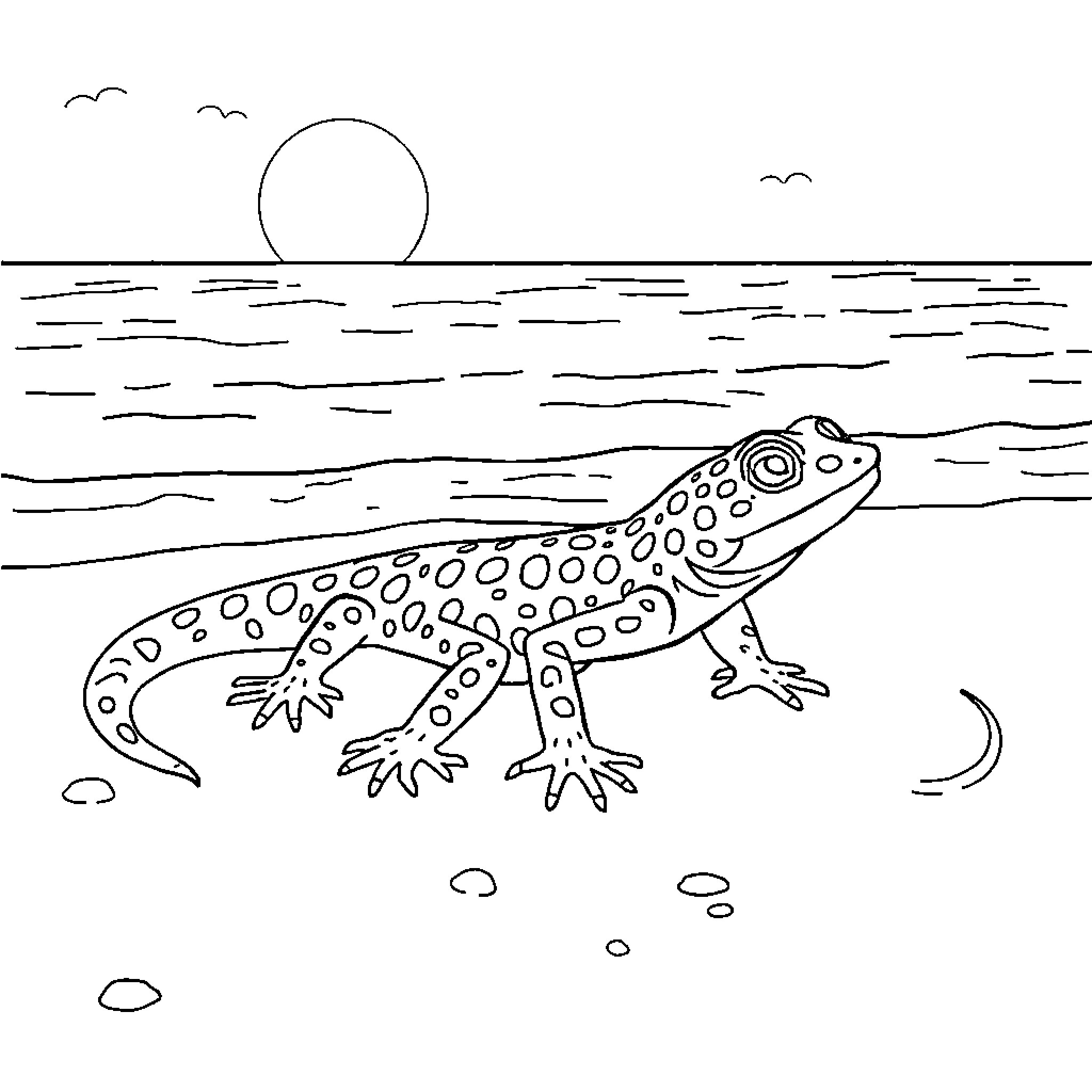Leopard Gecko exploring the seashore landscape Coloring Page (free black-and-white line drawing printable PDF for all, from beginners to advanced learners, including children, teens, adults, and seniors)