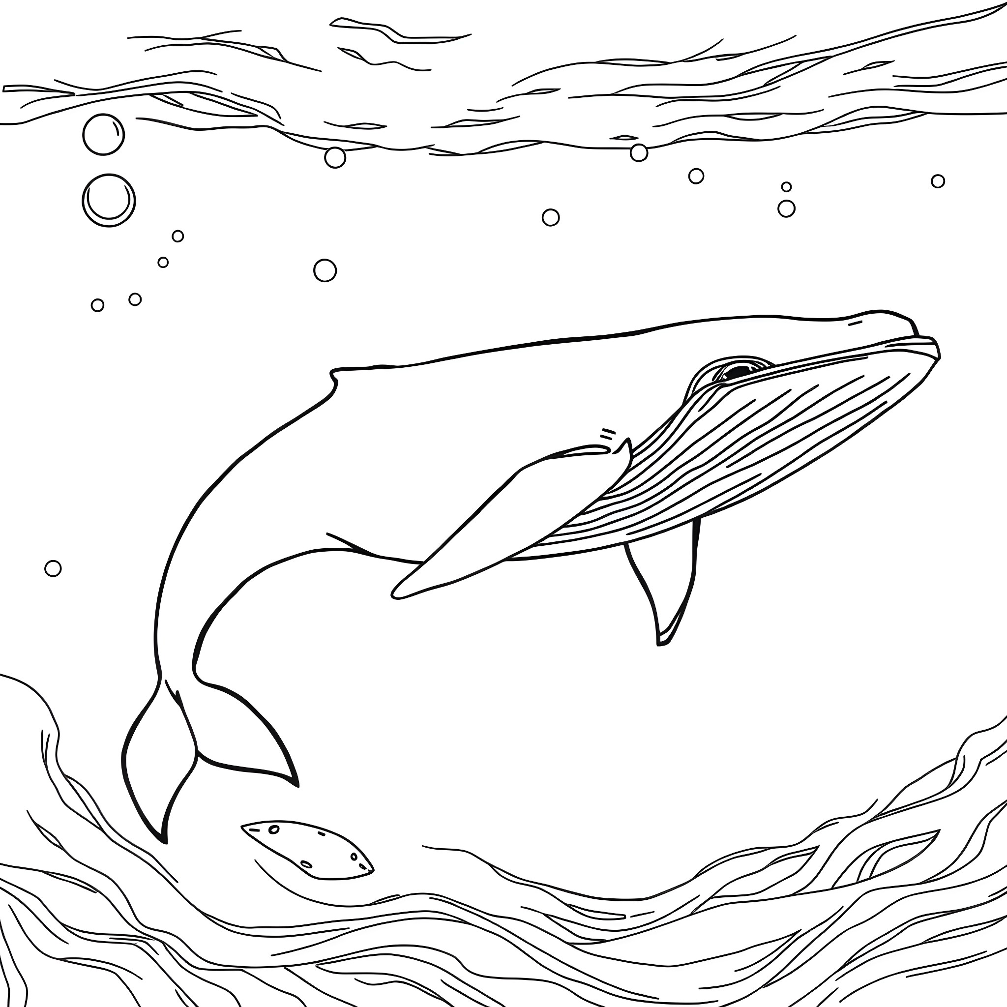 Whale swimming gracefully in the ocean Coloring Page (free black-and-white line drawing printable PDF for all, from beginners to advanced learners, including children, teens, adults, and seniors)