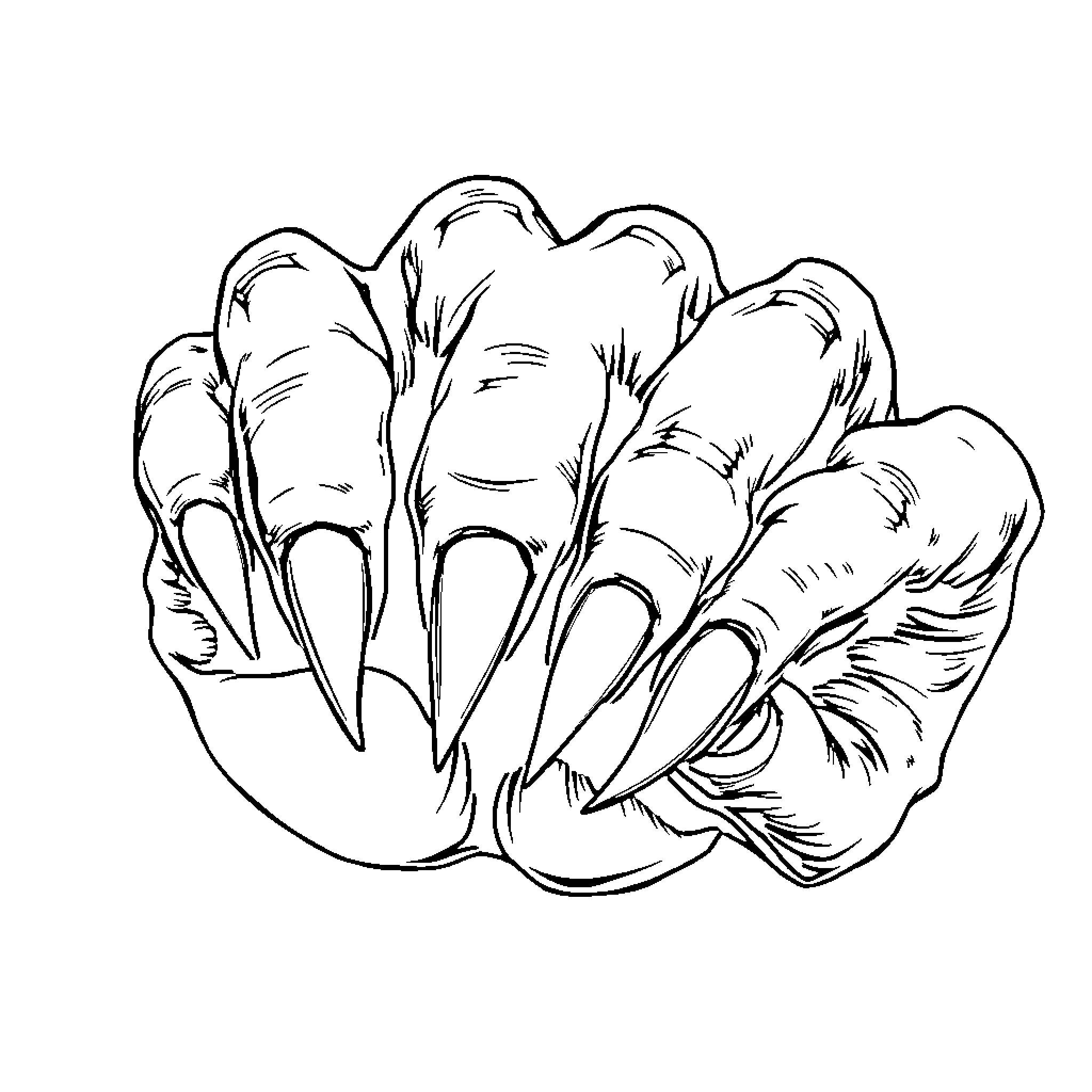 Knuckles unleashing fierce claws Coloring Page (free black-and-white line drawing printable PDF for all, from beginners to advanced learners, including children, teens, adults, and seniors)