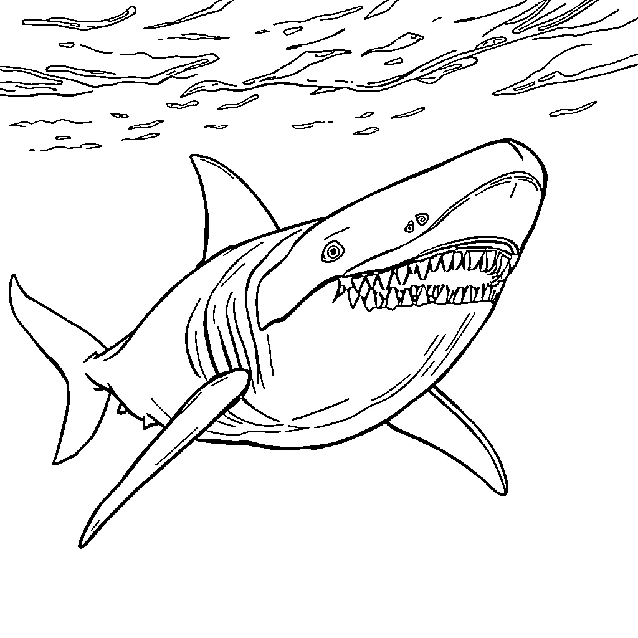 Megalodon's Mighty Jaws Emerge from the Depths Coloring Page (free black-and-white line drawing printable PDF for all, from beginners to advanced learners, including children, teens, adults, and seniors)