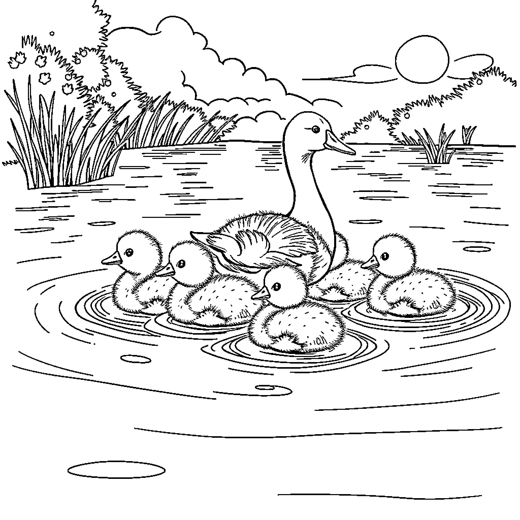 Ducklings swimming with their mother in a pond Coloring Page (free black-and-white line drawing printable PDF for all, from beginners to advanced learners, including children, teens, adults, and seniors)