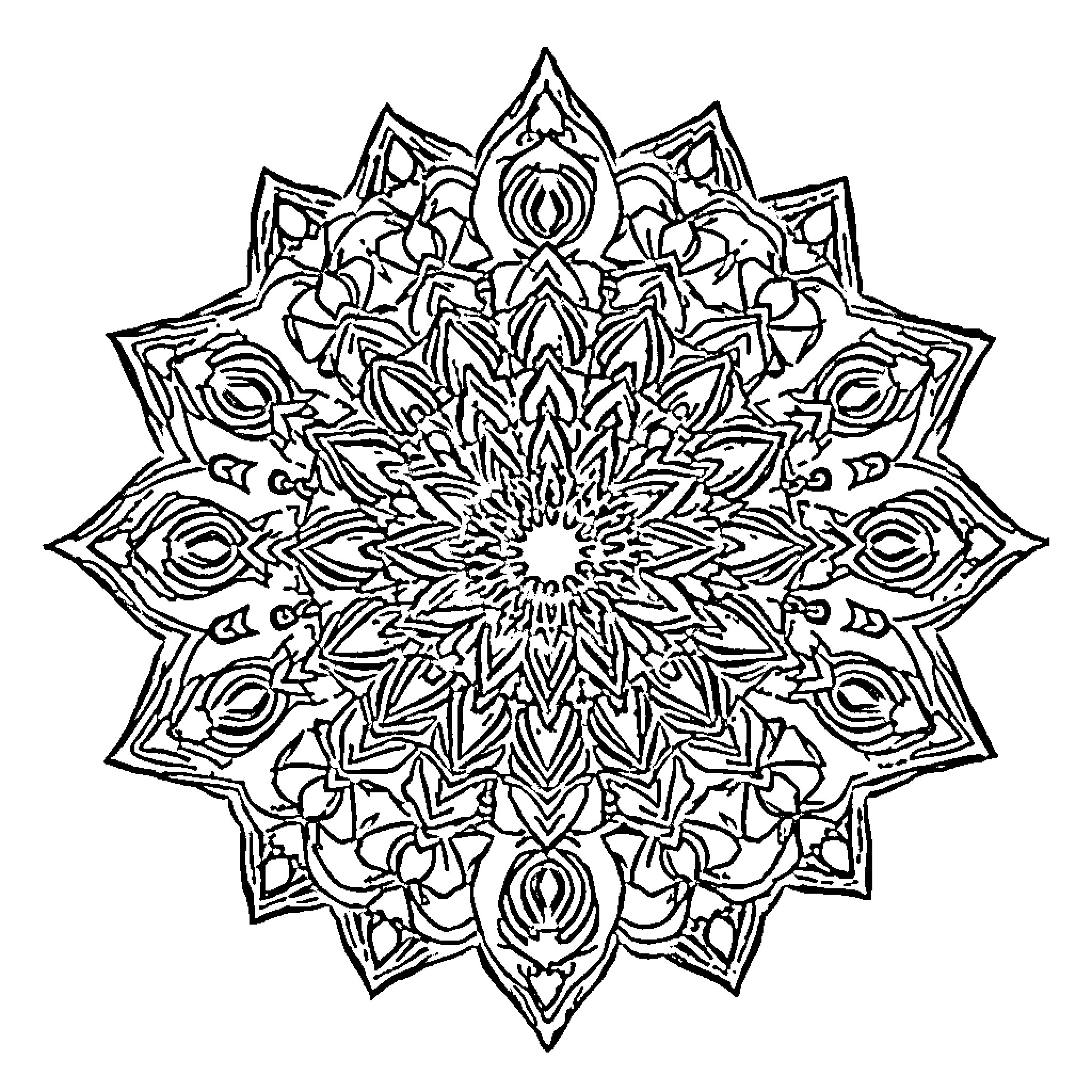 Mandala of intricate floral patterns Coloring Page (free black-and-white line drawing printable PDF for all, from beginners to advanced learners, including children, teens, adults, and seniors)