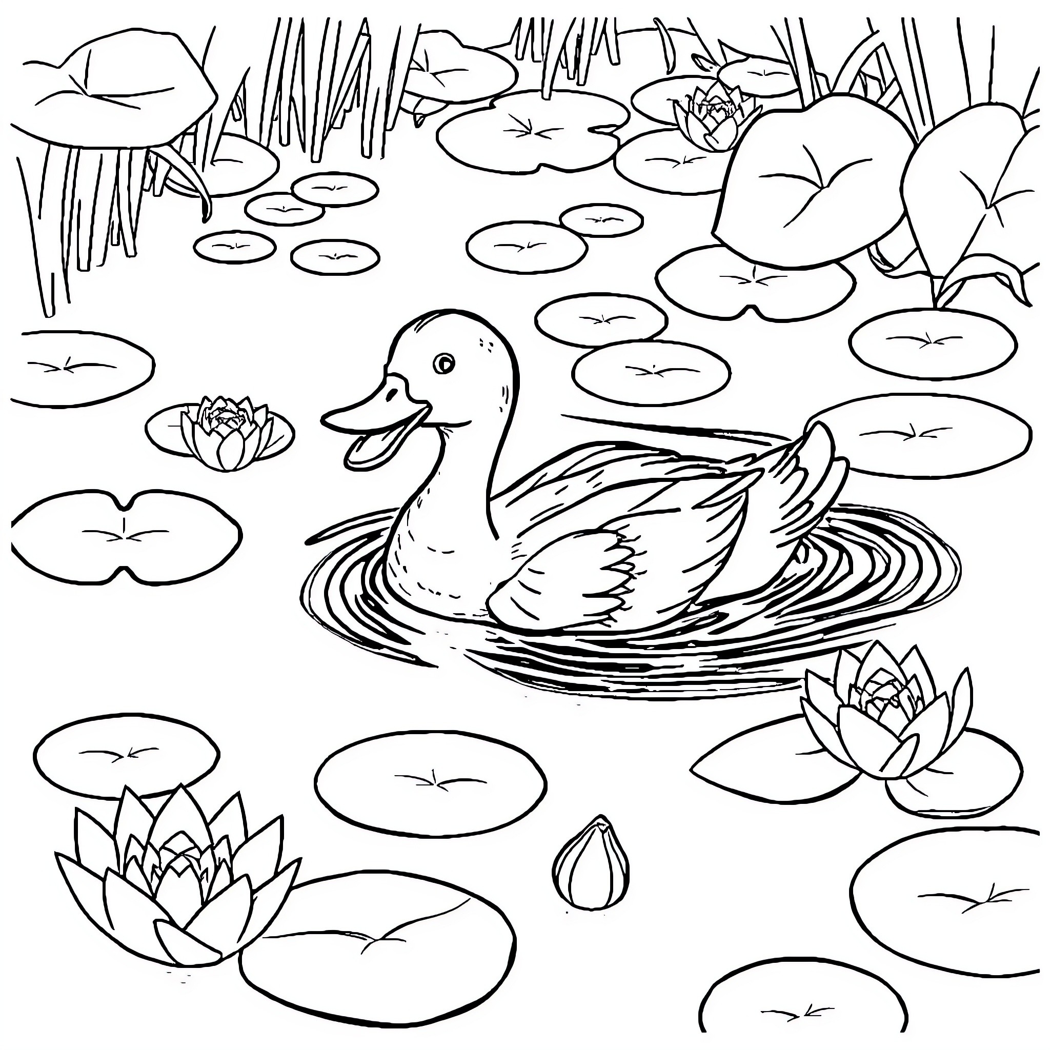 Duck Swimming Peacefully in Lily Pond Coloring Page (free black-and-white line drawing printable PDF for all, from beginners to advanced learners, including children, teens, adults, and seniors)