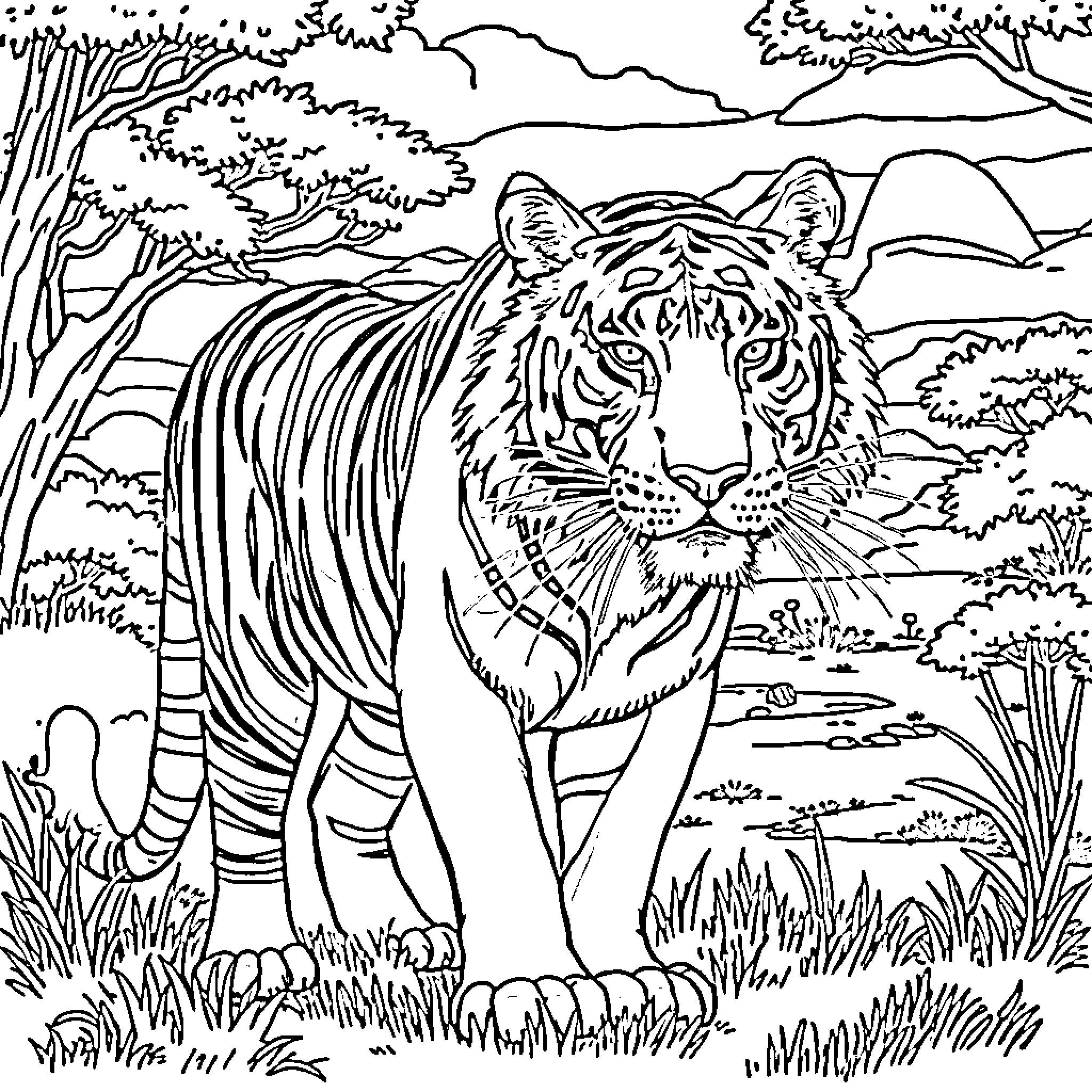 Tiger roaming through the lush jungle landscape Coloring Page (free black-and-white line drawing printable PDF for all, from beginners to advanced learners, including children, teens, adults, and seniors)