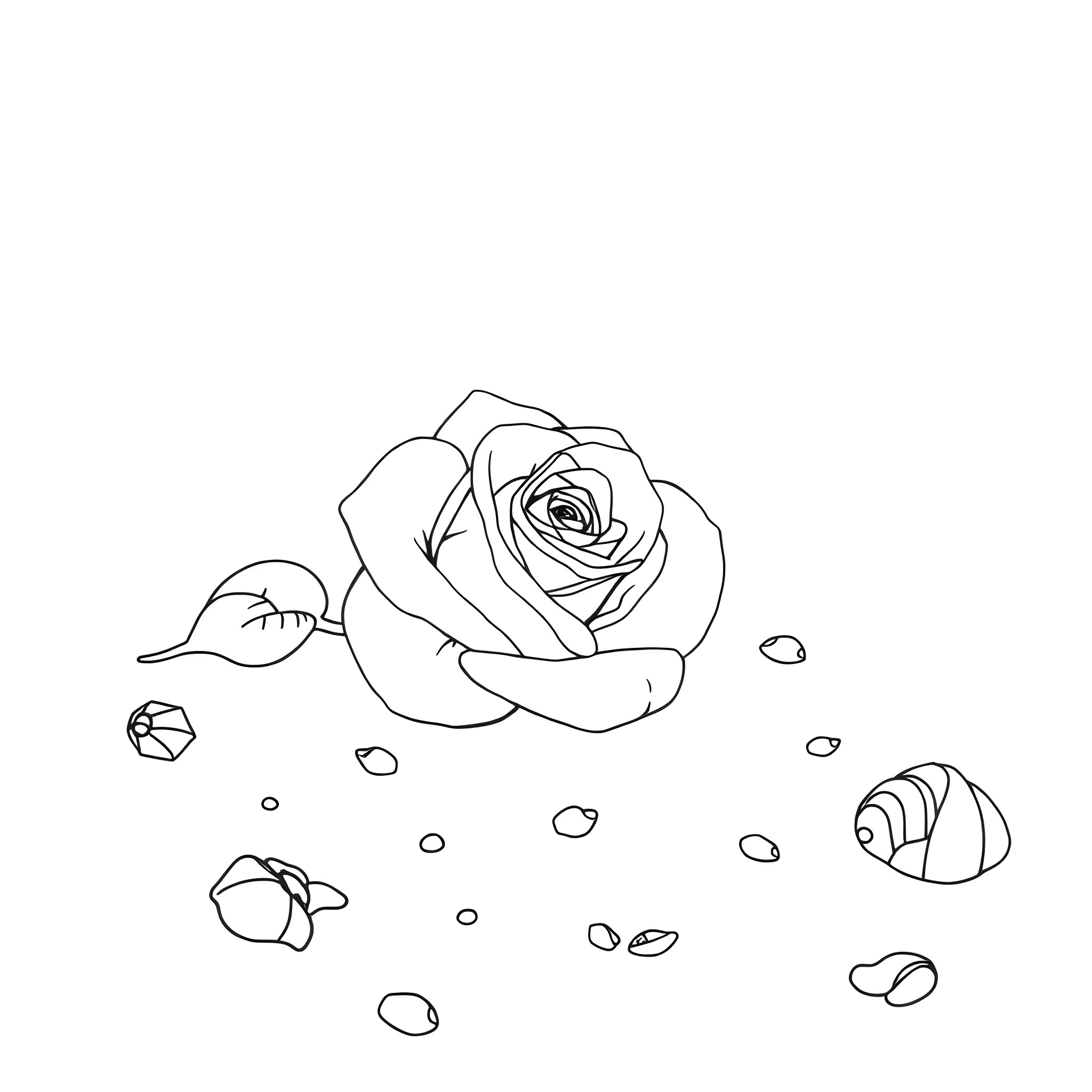 Rose Blooming with Petals and Shells Coloring Page (free black-and-white line drawing printable PDF for all, from beginners to advanced learners, including children, teens, adults, and seniors)