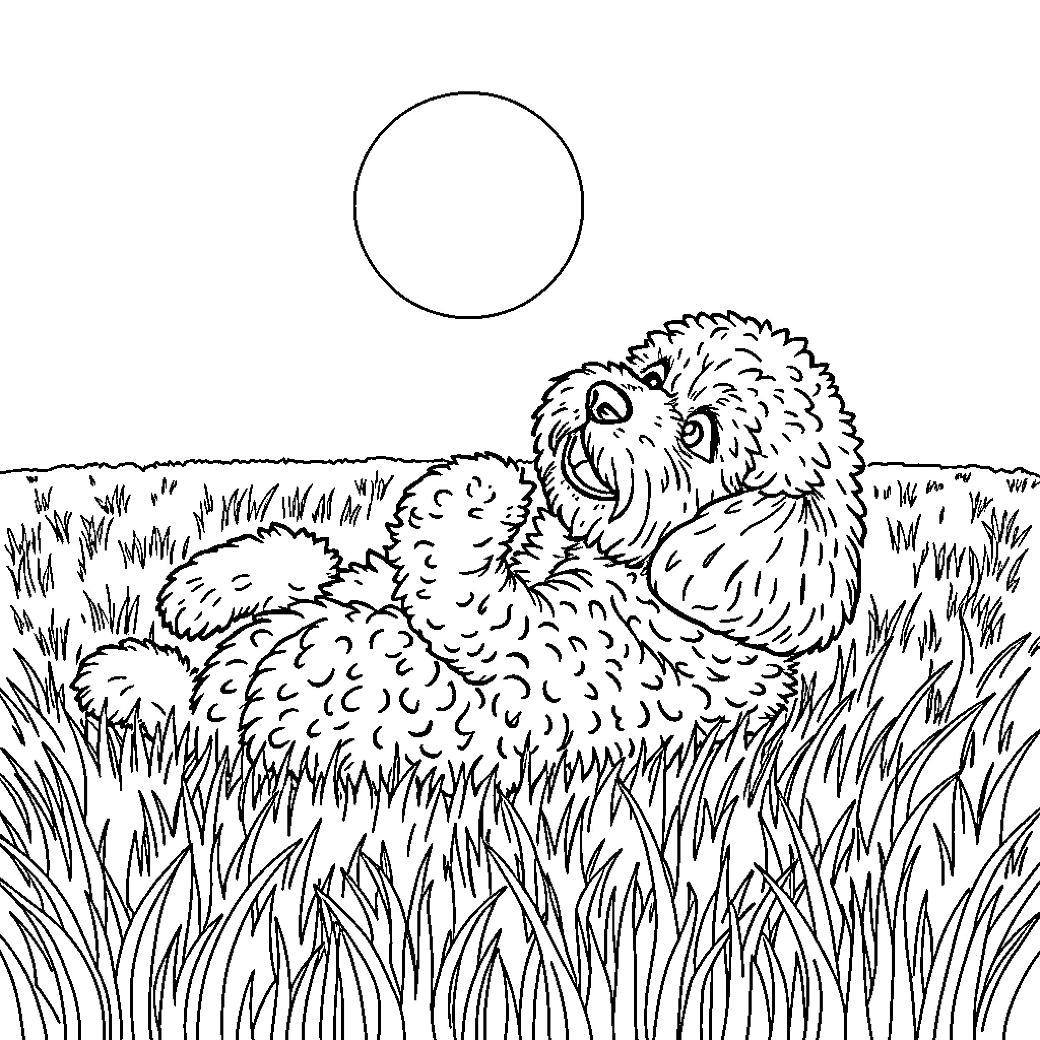 Labradoodle playing happily in the meadow Coloring Page (free black-and-white line drawing printable PDF for all, from beginners to advanced learners, including children, teens, adults, and seniors)