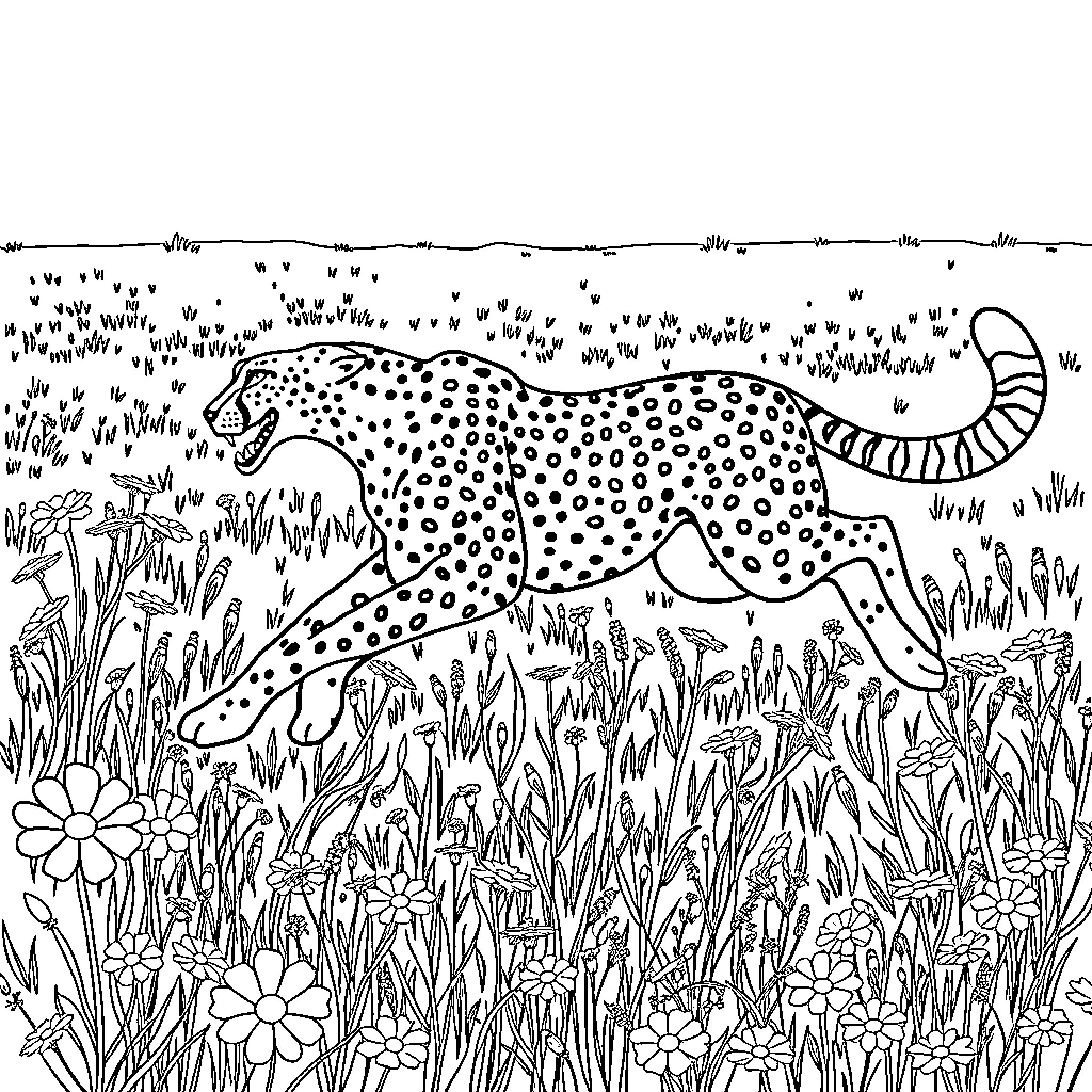 Cheetah Stalking Through Lush Grassland Meadow Coloring Page (free black-and-white line drawing printable PDF for all, from beginners to advanced learners, including children, teens, adults, and seniors)