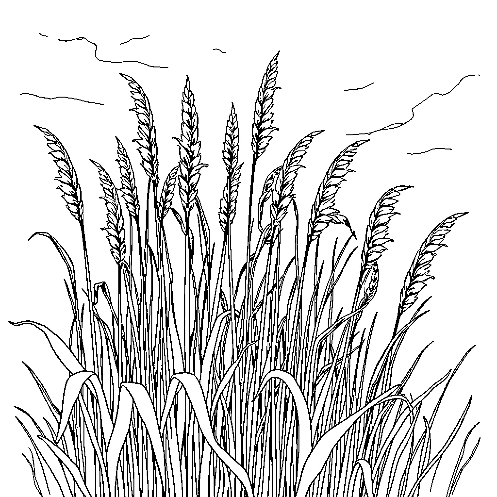 Caña: Detailed Stalks in a Scenic Landscape Coloring Page (free black-and-white line drawing printable PDF for all, from beginners to advanced learners, including children, teens, adults, and seniors)