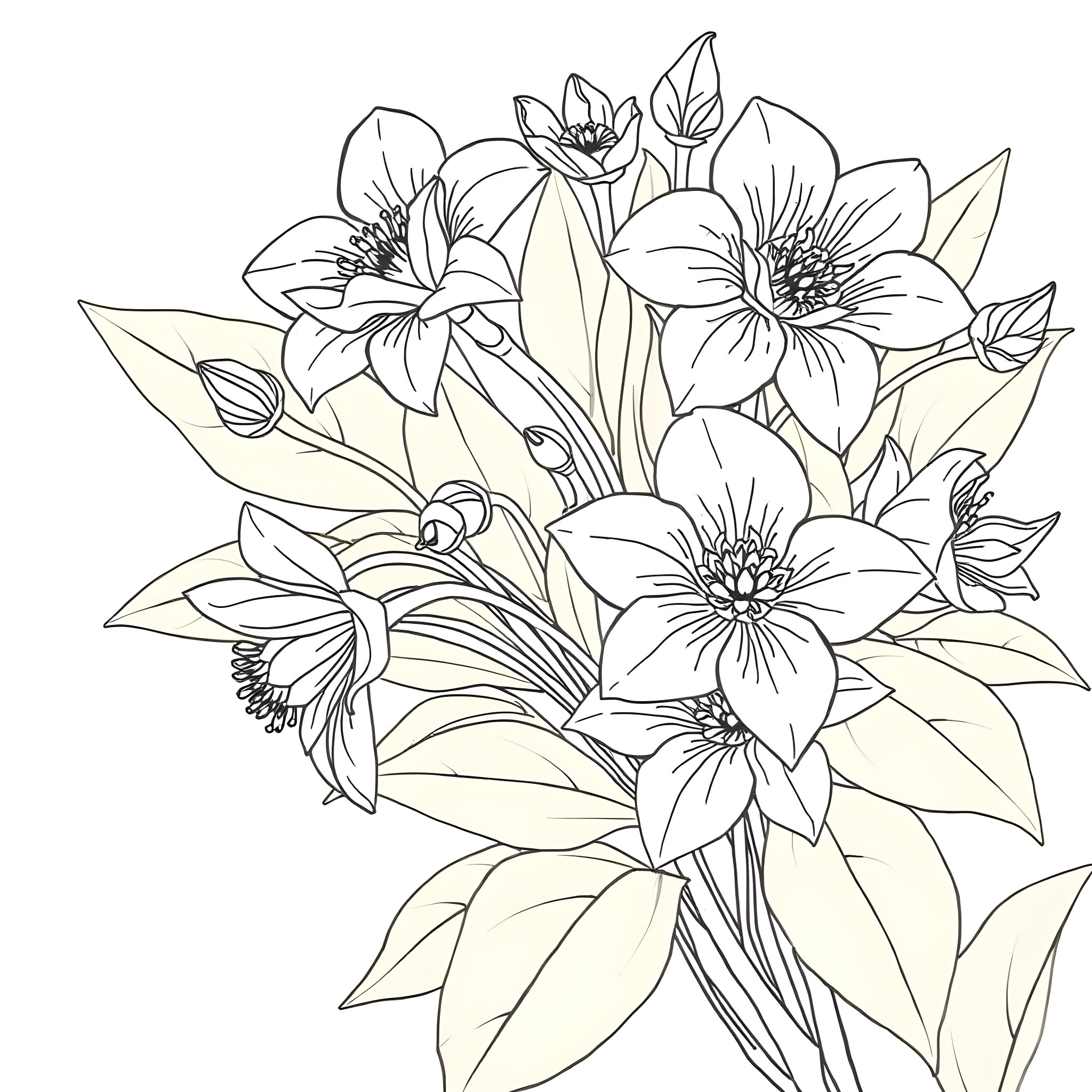 Flower bouquet with blooming floral arrangements Coloring Page (free black-and-white line drawing printable PDF for all, from beginners to advanced learners, including children, teens, adults, and seniors)