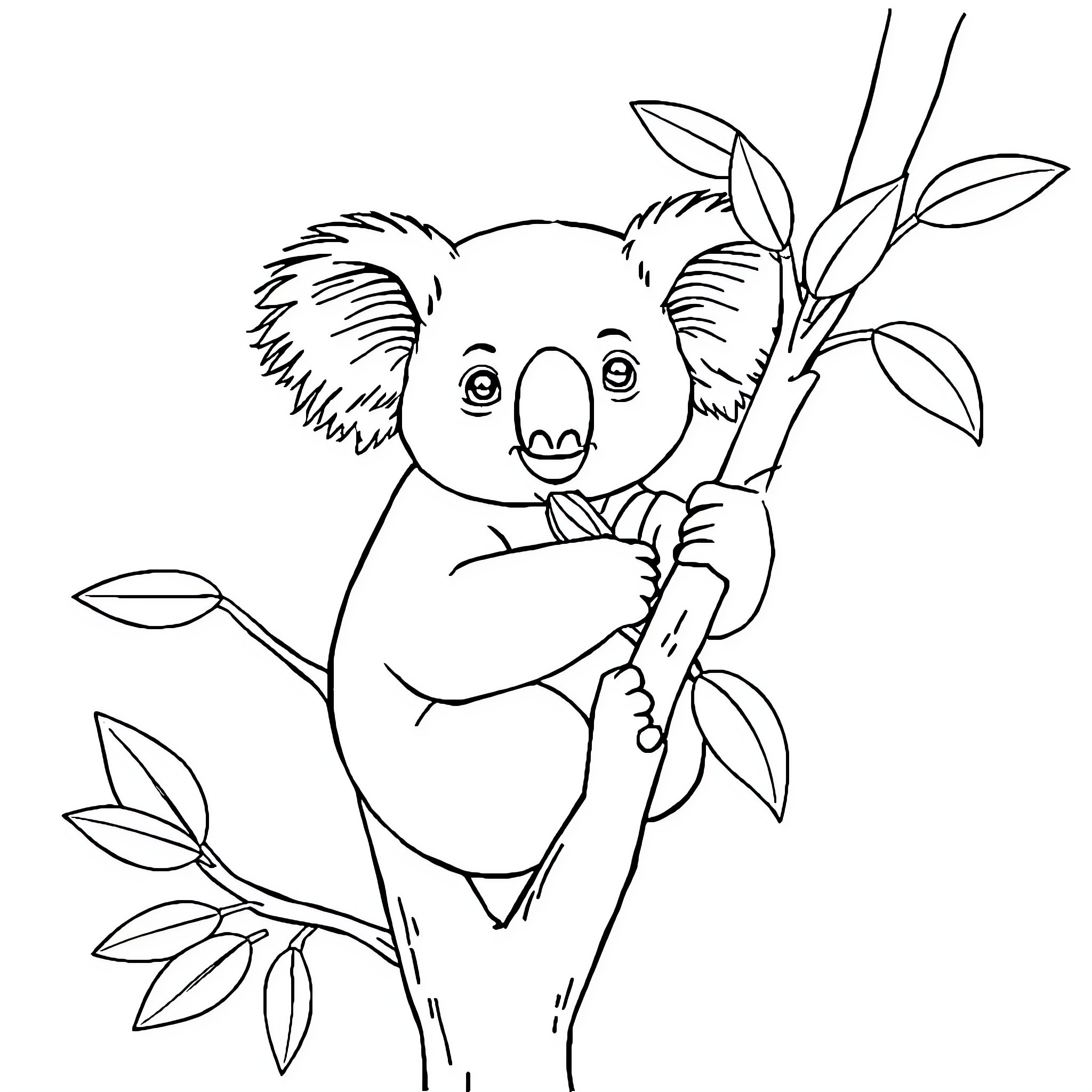 Koala climbing on tree branch Coloring Page (free black-and-white line drawing printable PDF for all, from beginners to advanced learners, including children, teens, adults, and seniors)