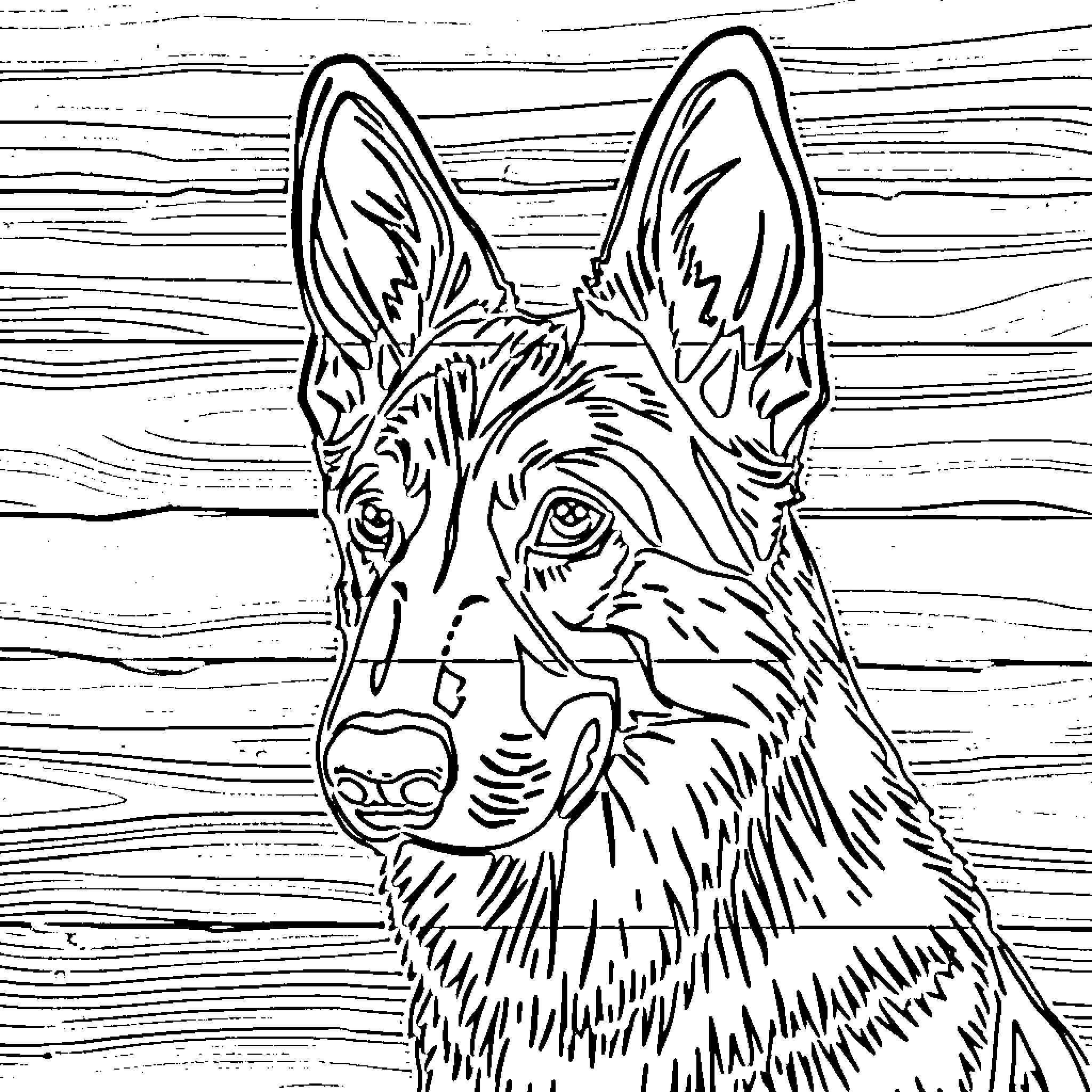 German Shepherd attentively watching over the scene Coloring Page (free black-and-white line drawing printable PDF for all, from beginners to advanced learners, including children, teens, adults, and seniors)