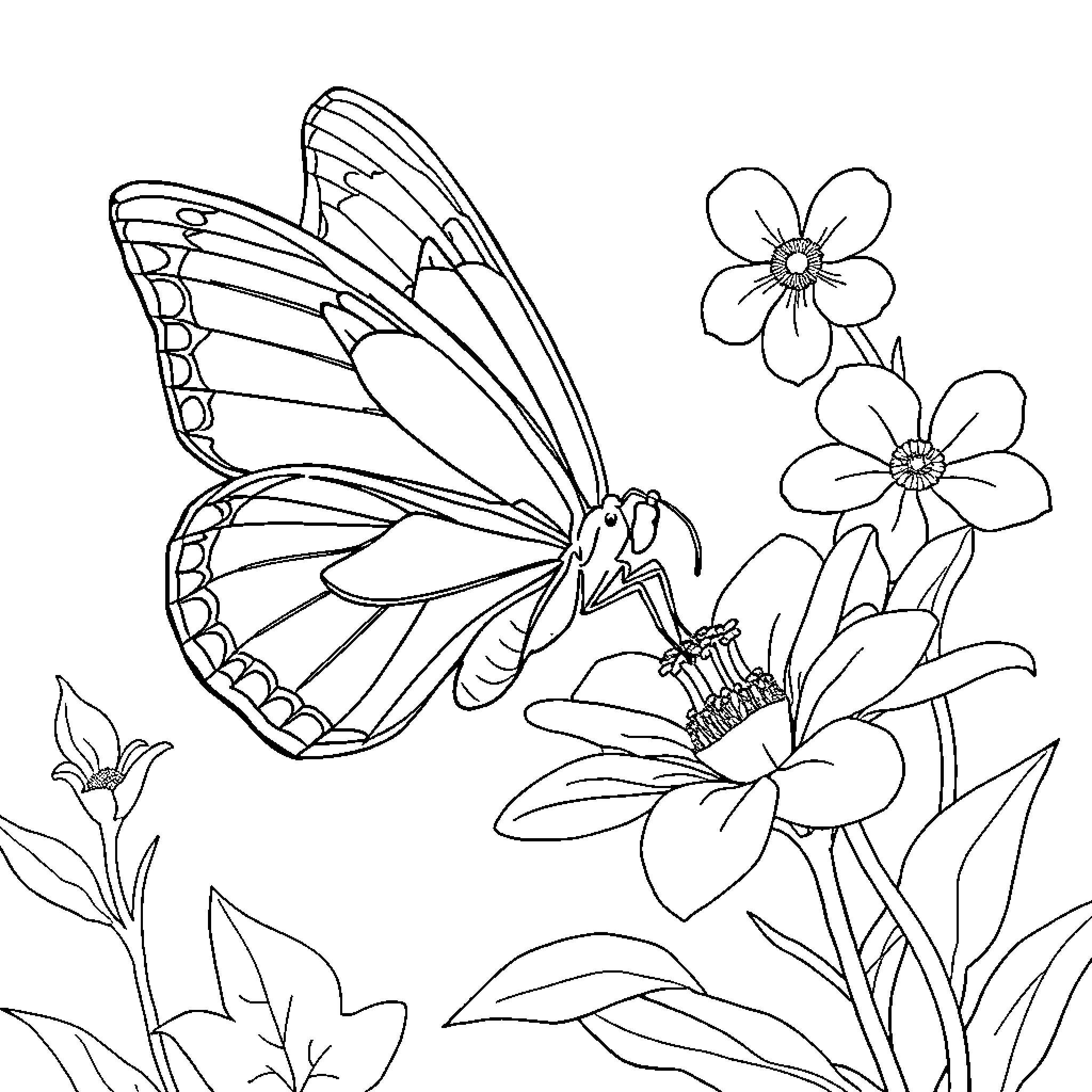 Butterfly landing gracefully on blooming flowers Coloring Page (free black-and-white line drawing printable PDF for all, from beginners to advanced learners, including children, teens, adults, and seniors)