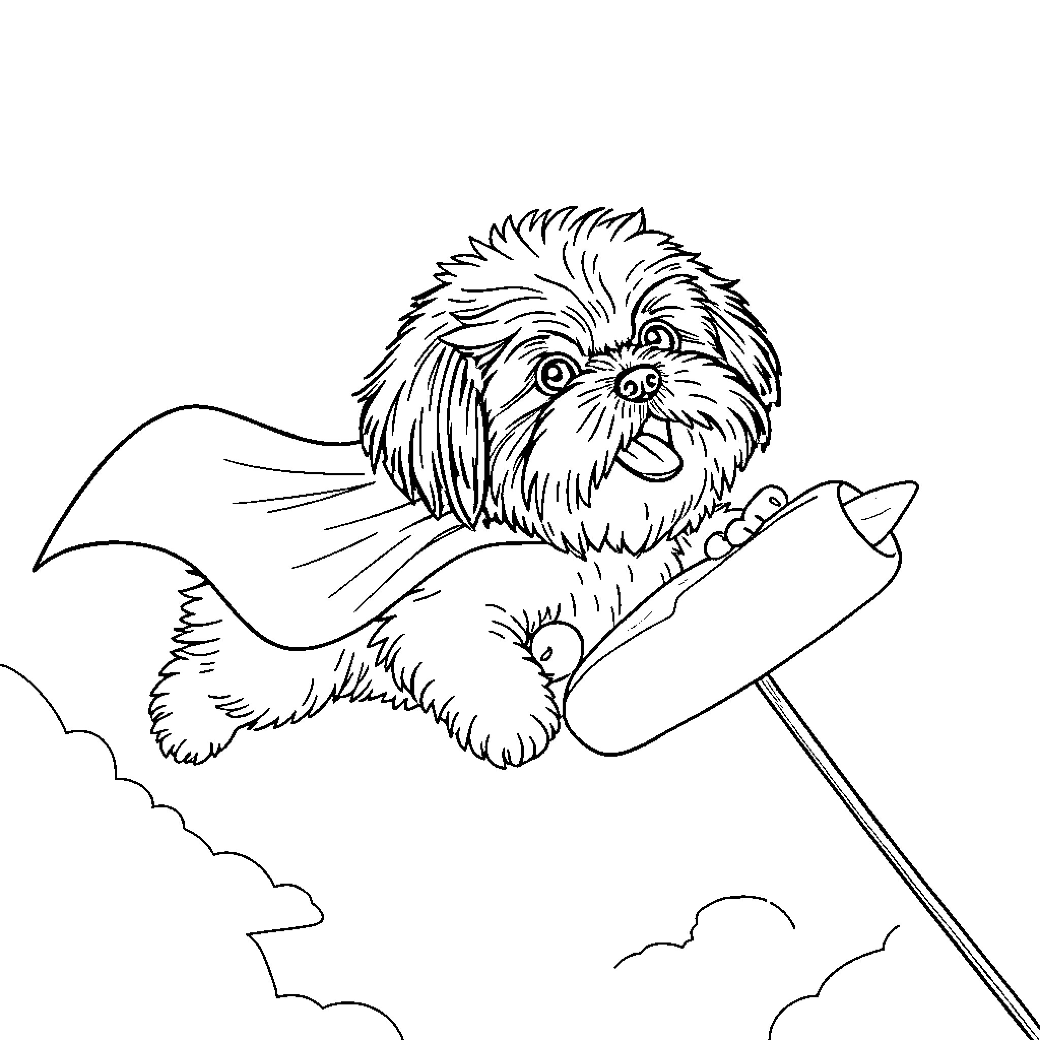 Shih Tzu puppy playing with flying toy Coloring Page (free black-and-white line drawing printable PDF for all, from beginners to advanced learners, including children, teens, adults, and seniors)