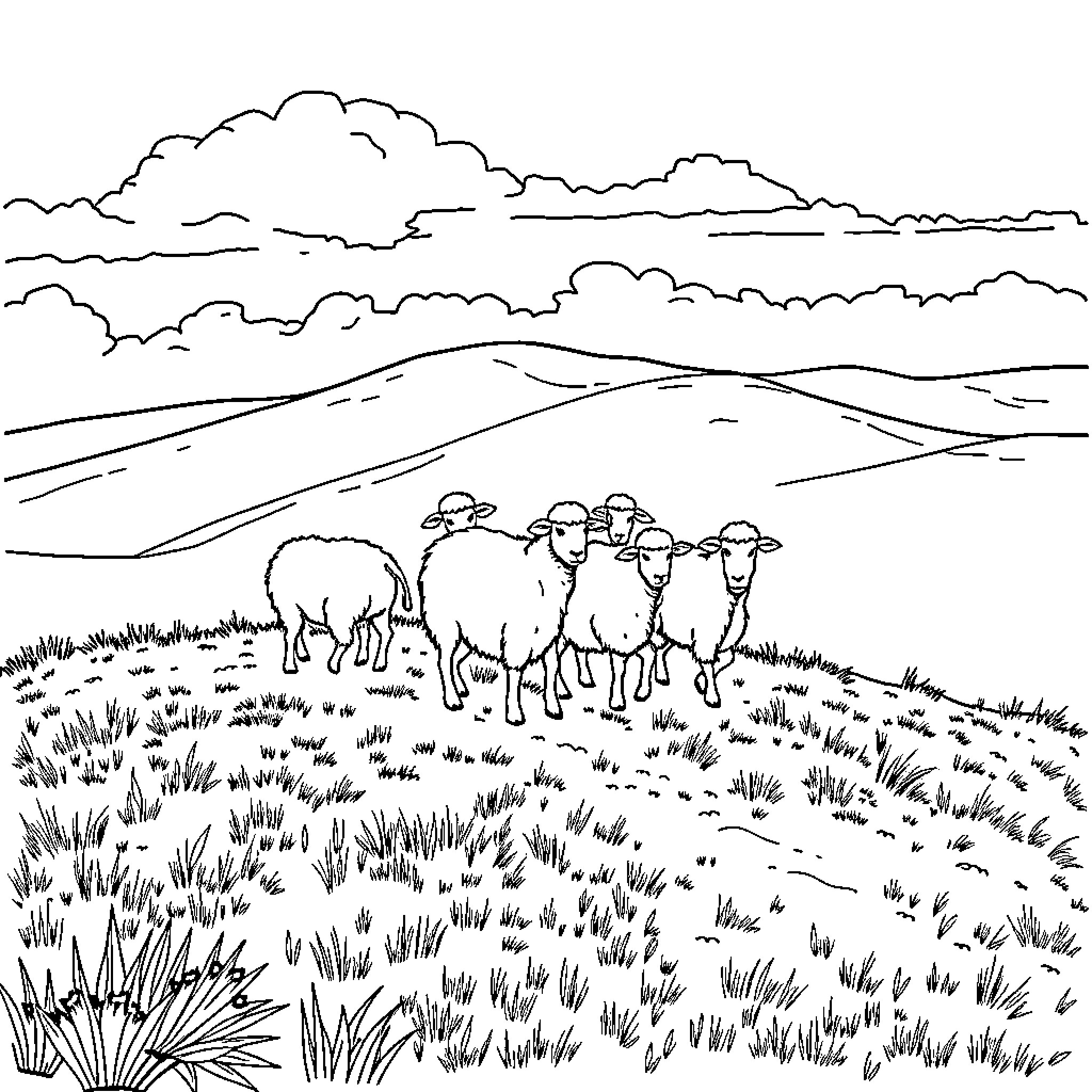 Shepherd's Flock Grazing in the Countryside Coloring Page (free black-and-white line drawing printable PDF for all, from beginners to advanced learners, including children, teens, adults, and seniors)