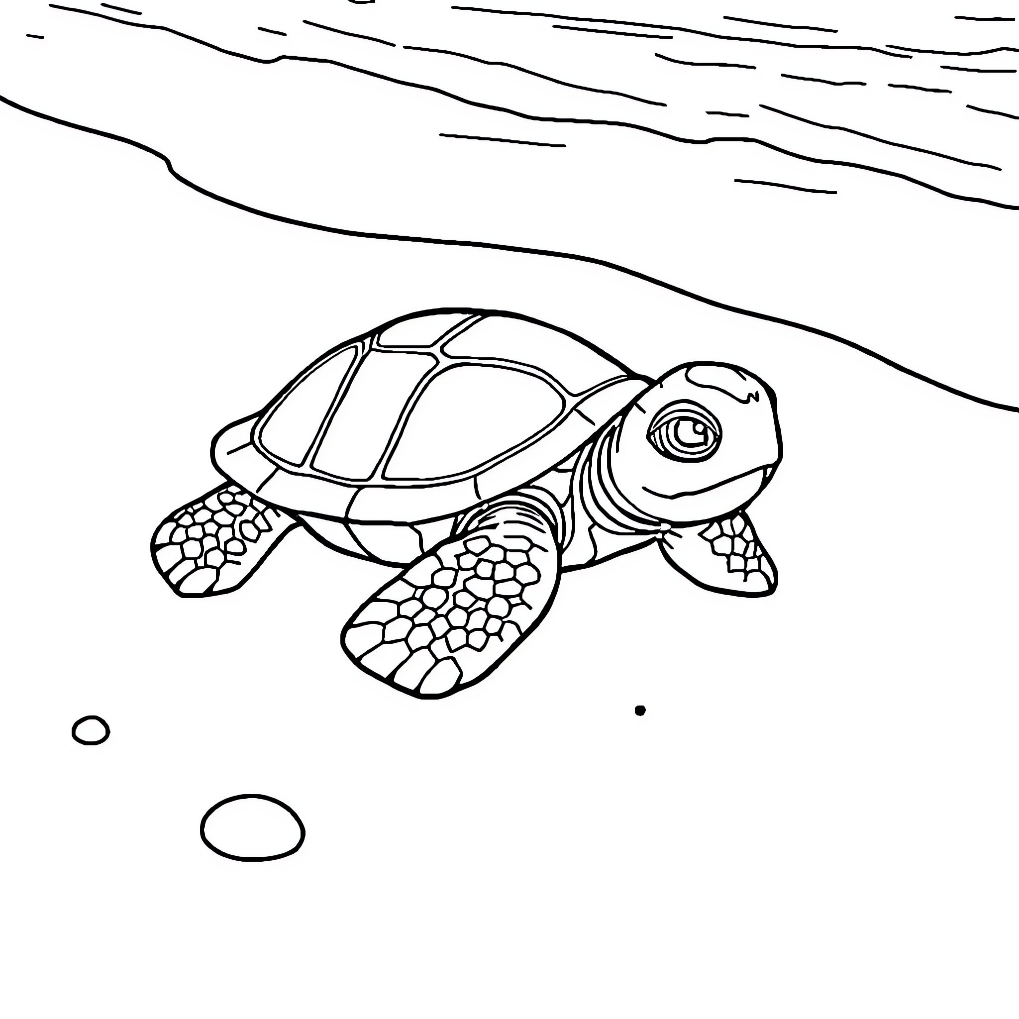 Baby Turtle Swimming Underwater Coloring Page (free black-and-white line drawing printable PDF for all, from beginners to advanced learners, including children, teens, adults, and seniors)