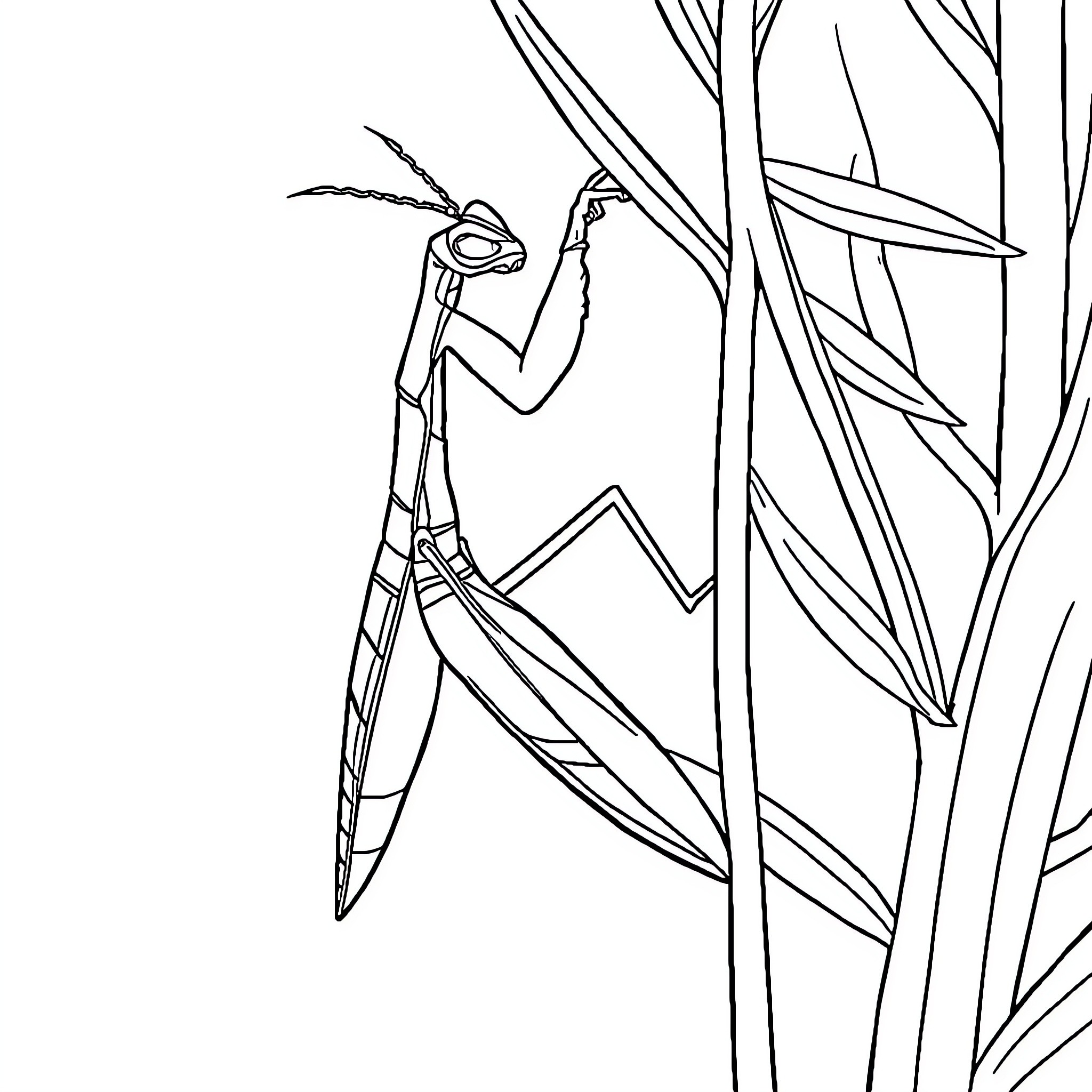 Praying Mantis inspecting its surroundings Coloring Page (free black-and-white line drawing printable PDF for all, from beginners to advanced learners, including children, teens, adults, and seniors)