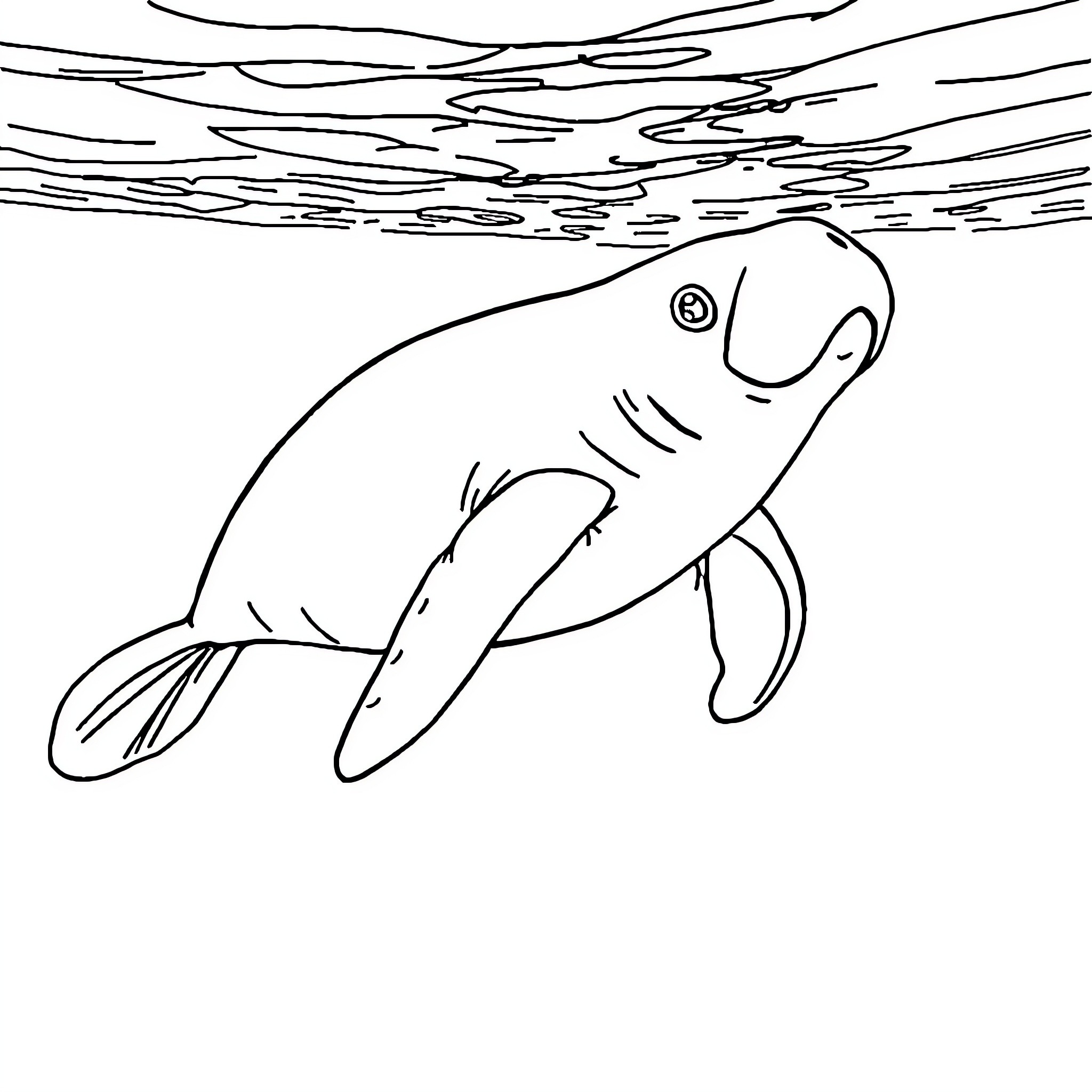 Manatee swimming in the ocean waves Coloring Page (free black-and-white line drawing printable PDF for all, from beginners to advanced learners, including children, teens, adults, and seniors)