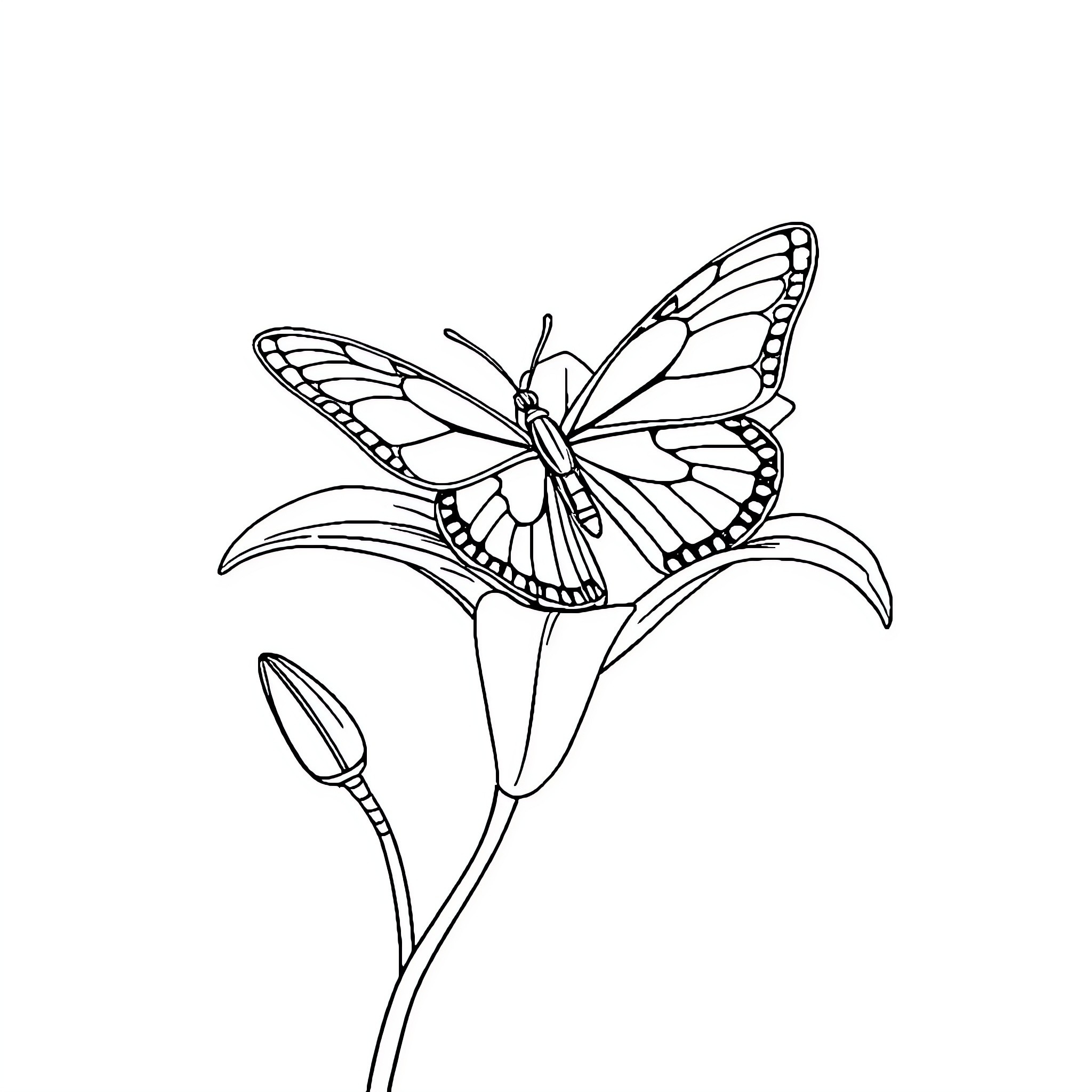 Butterfly resting on a flower bud Coloring Page (free black-and-white line drawing printable PDF for all, from beginners to advanced learners, including children, teens, adults, and seniors)
