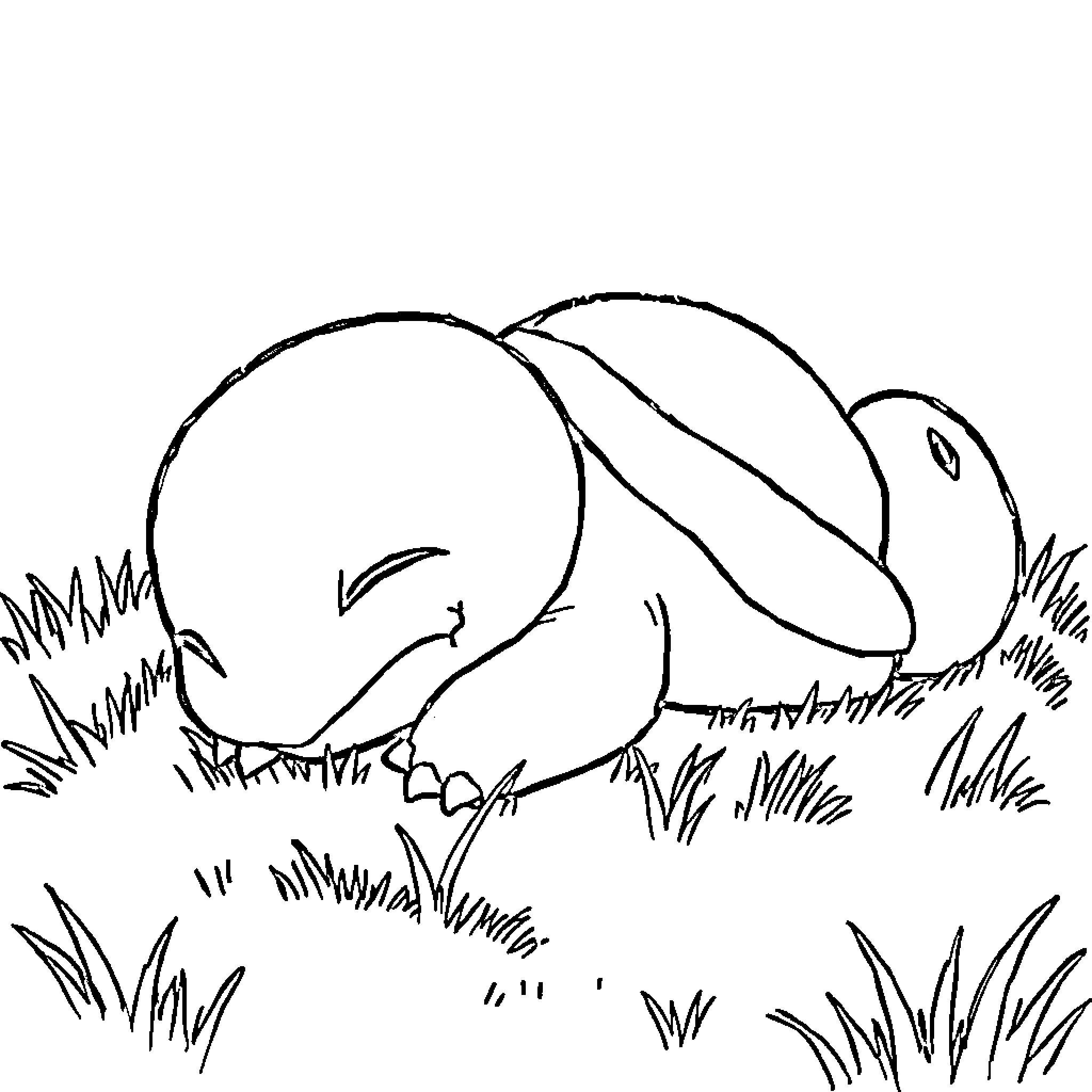 Squirtle playing in the grass Coloring Page (free black-and-white line drawing printable PDF for all, from beginners to advanced learners, including children, teens, adults, and seniors)