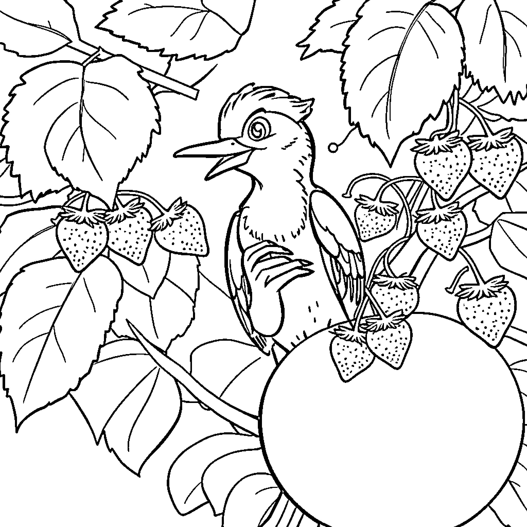 Woodpecker exploring strawberry patch Coloring Page (free black-and-white line drawing printable PDF for all, from beginners to advanced learners, including children, teens, adults, and seniors)
