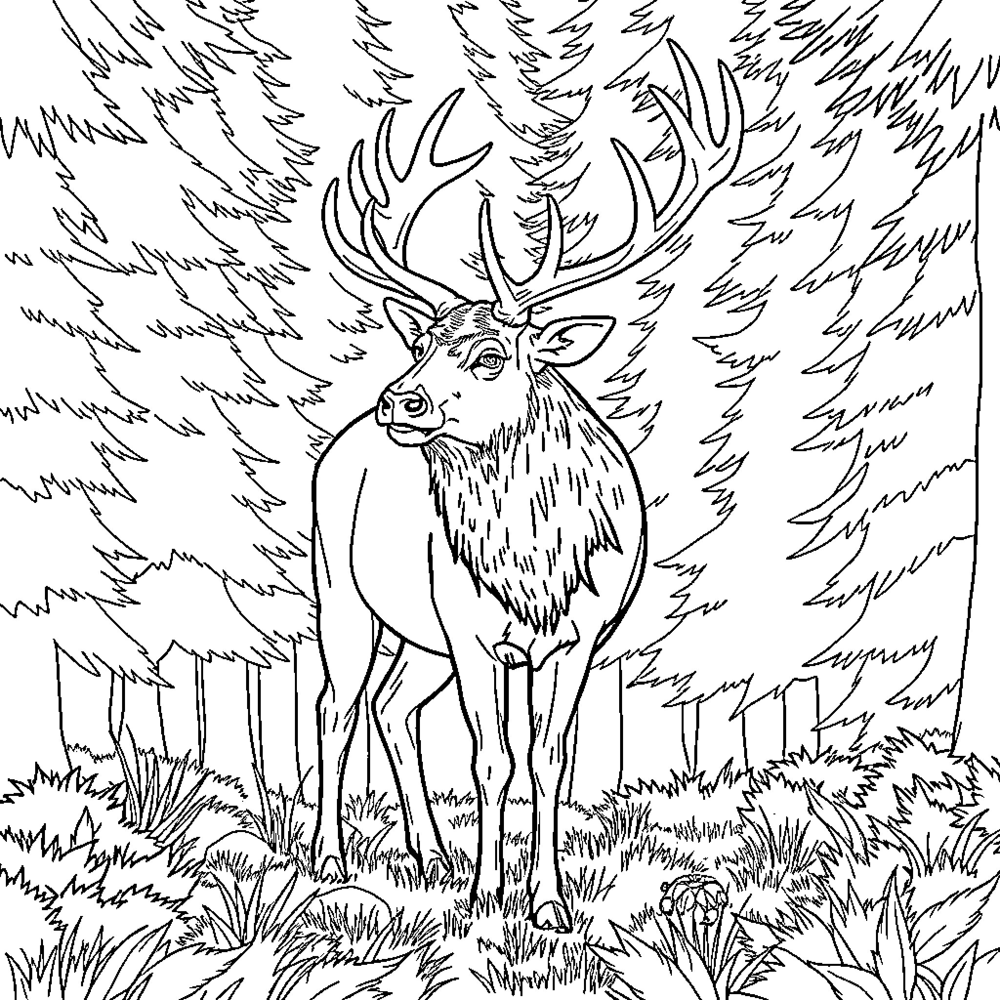 Elk standing amidst trees in forest Coloring Page (free black-and-white line drawing printable PDF for all, from beginners to advanced learners, including children, teens, adults, and seniors)