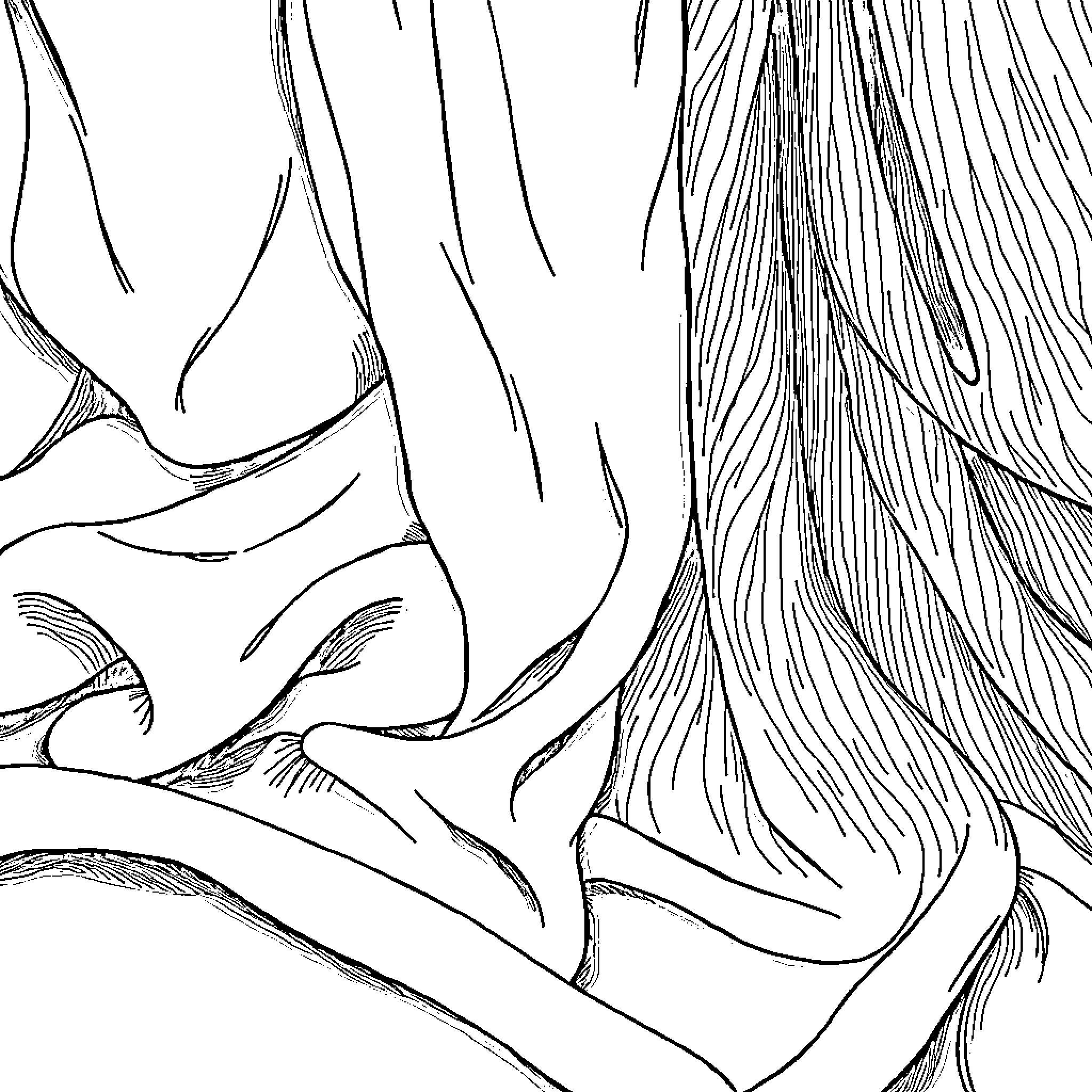 Textile patterns in abstract shapes and lines Coloring Page (free black-and-white line drawing printable PDF for all, from beginners to advanced learners, including children, teens, adults, and seniors)