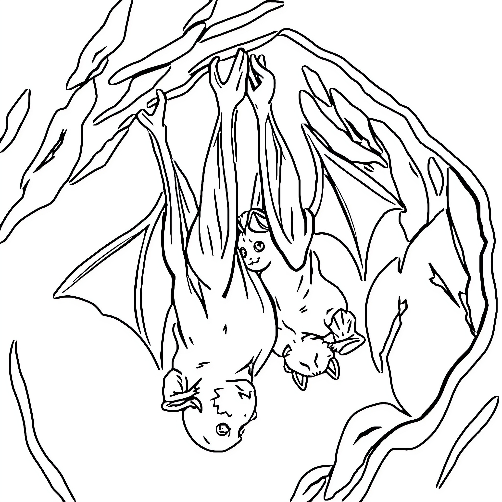 Bat Hanging Upside Down in its Natural Habitat Coloring Page (free black-and-white line drawing printable PDF for all, from beginners to advanced learners, including children, teens, adults, and seniors)