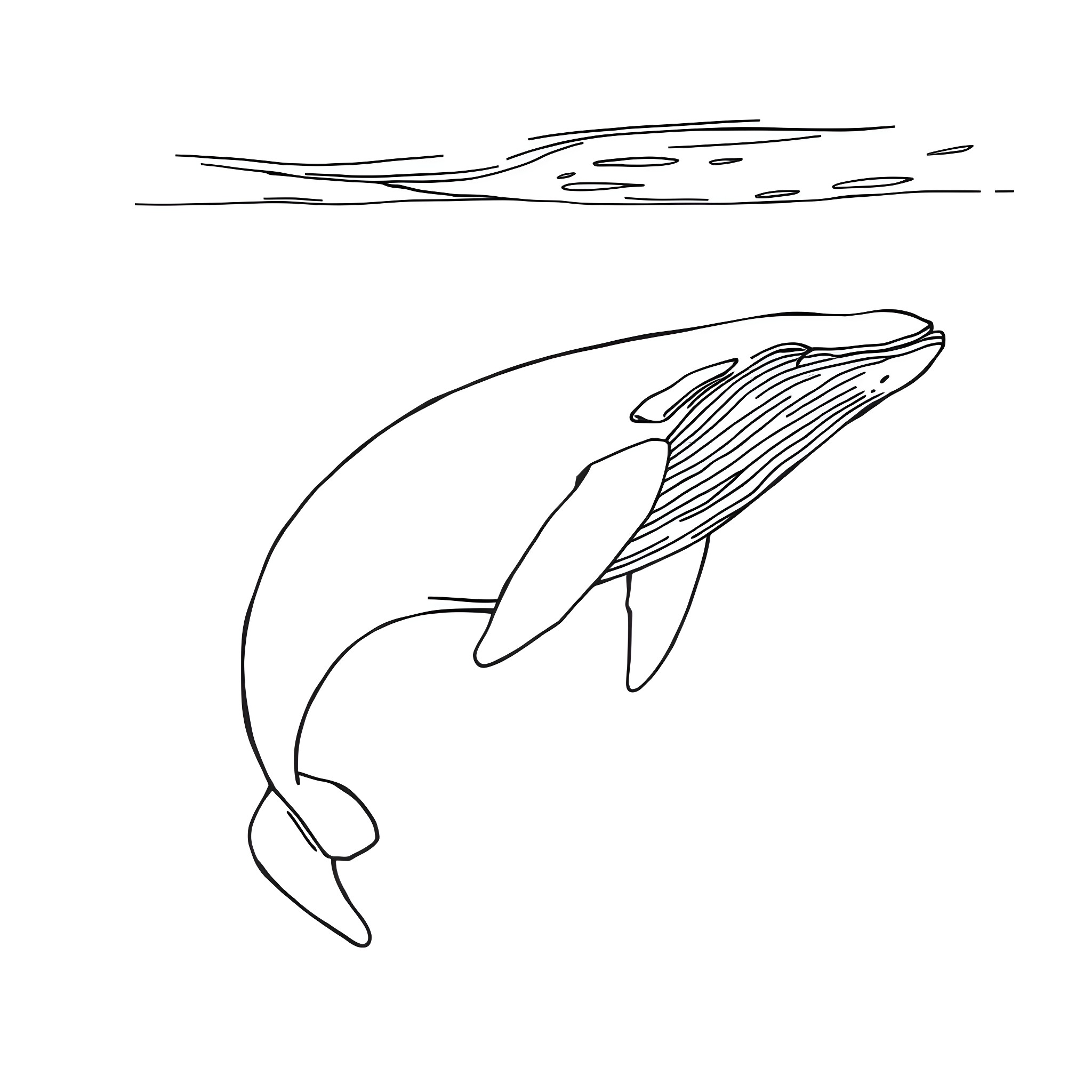 Whale swimming gracefully through the waves Coloring Page (free black-and-white line drawing printable PDF for all, from beginners to advanced learners, including children, teens, adults, and seniors)