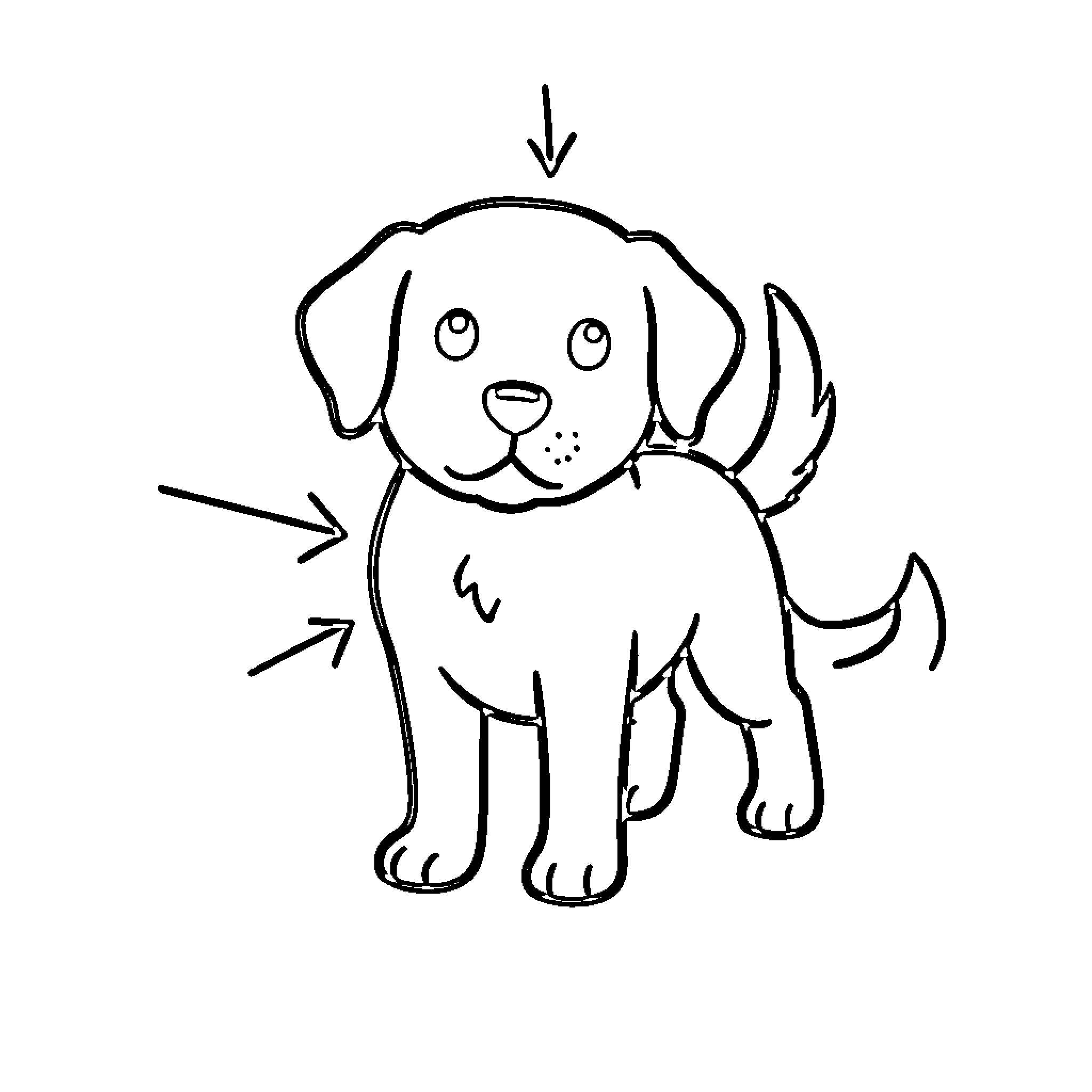 Dog standing with curious expression Coloring Page (free black-and-white line drawing printable PDF for all, from beginners to advanced learners, including children, teens, adults, and seniors)