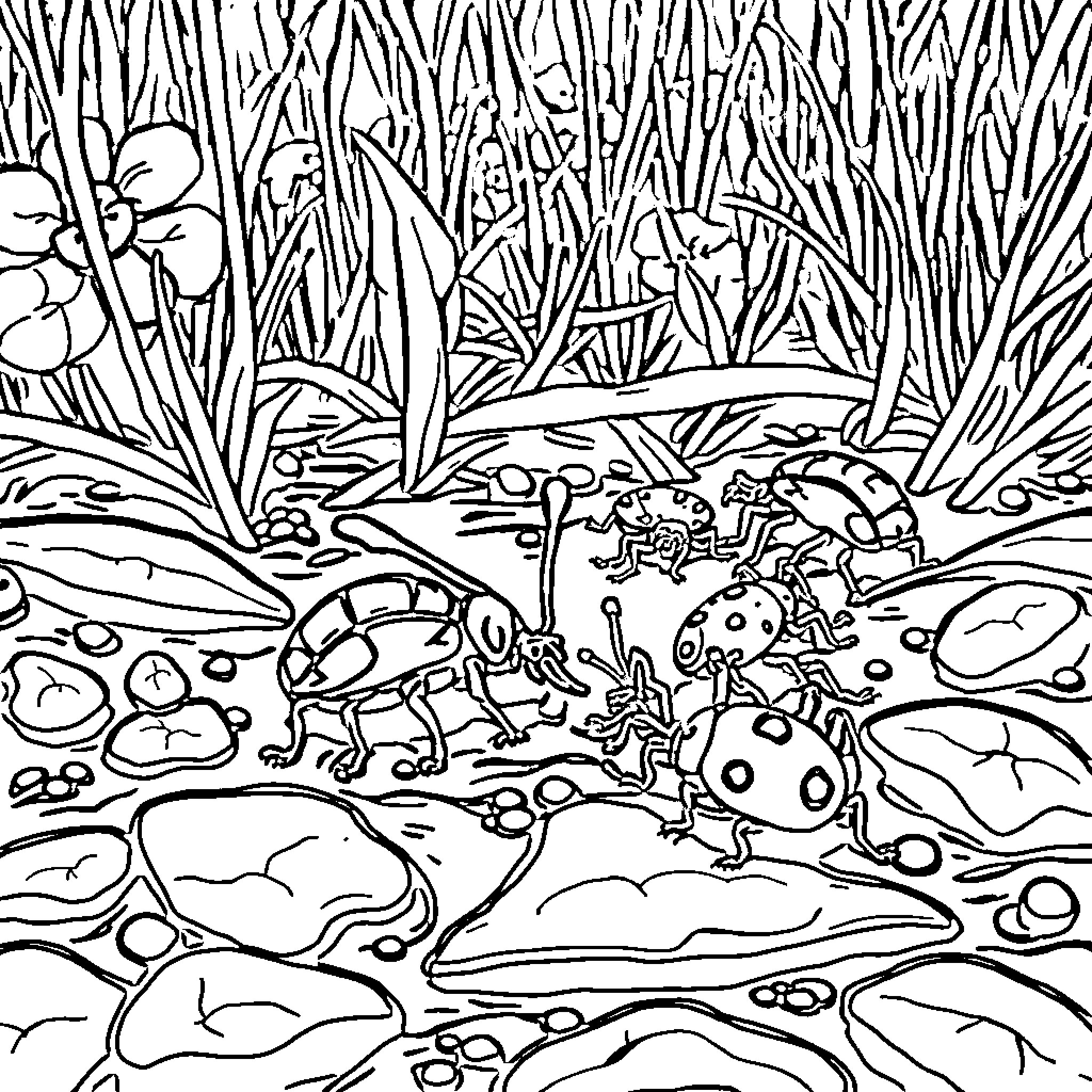 Bug creatures exploring the forest undergrowth Coloring Page (free black-and-white line drawing printable PDF for all, from beginners to advanced learners, including children, teens, adults, and seniors)
