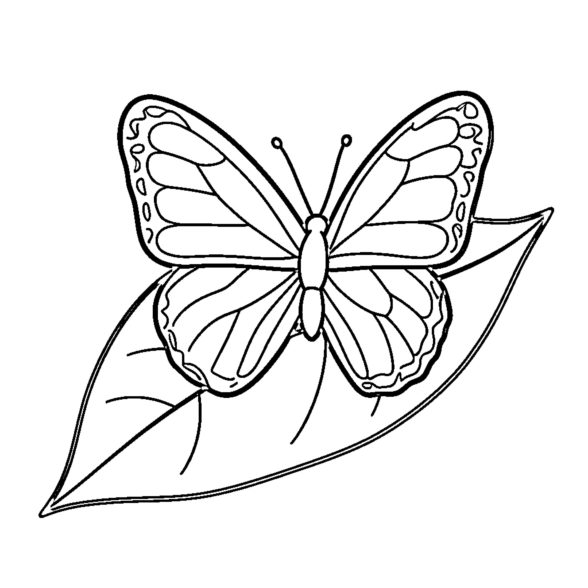 Butterfly resting gracefully on a large leaf Coloring Page (free black-and-white line drawing printable PDF for all, from beginners to advanced learners, including children, teens, adults, and seniors)