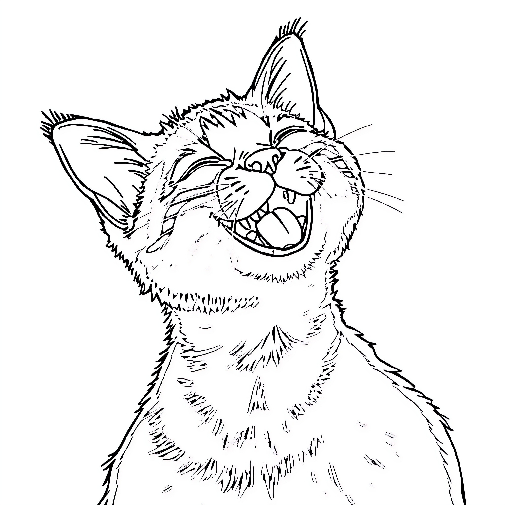 Cat with an amusing expression Coloring Page (free black-and-white line drawing printable PDF for all, from beginners to advanced learners, including children, teens, adults, and seniors)