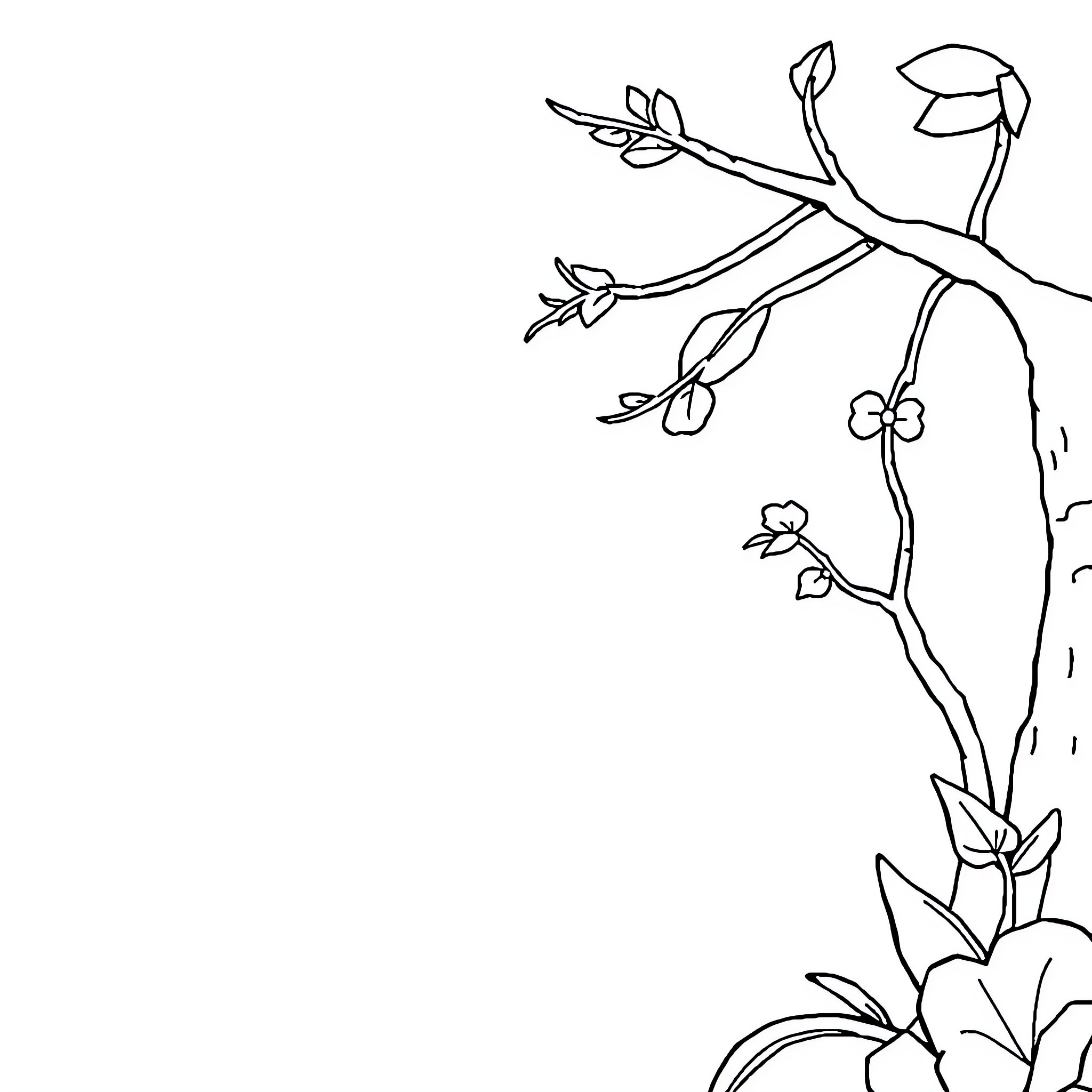 Image of a branch with flowers and leaves Coloring Page (free black-and-white line drawing printable PDF for all, from beginners to advanced learners, including children, teens, adults, and seniors)