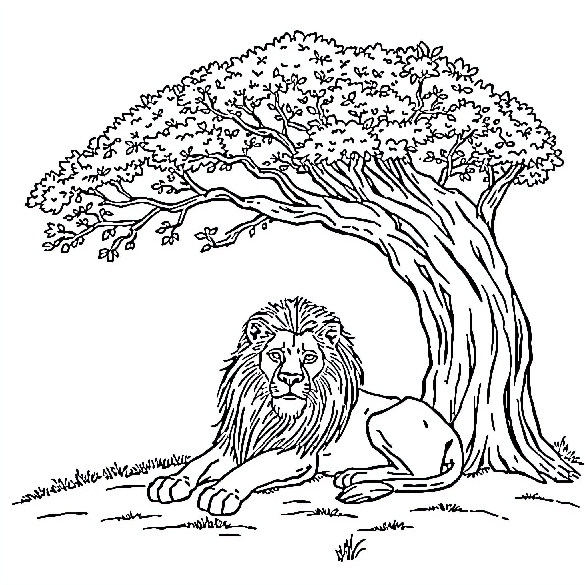 Lion resting under the majestic tree Coloring Page (free black-and-white line drawing printable PDF for all, from beginners to advanced learners, including children, teens, adults, and seniors)